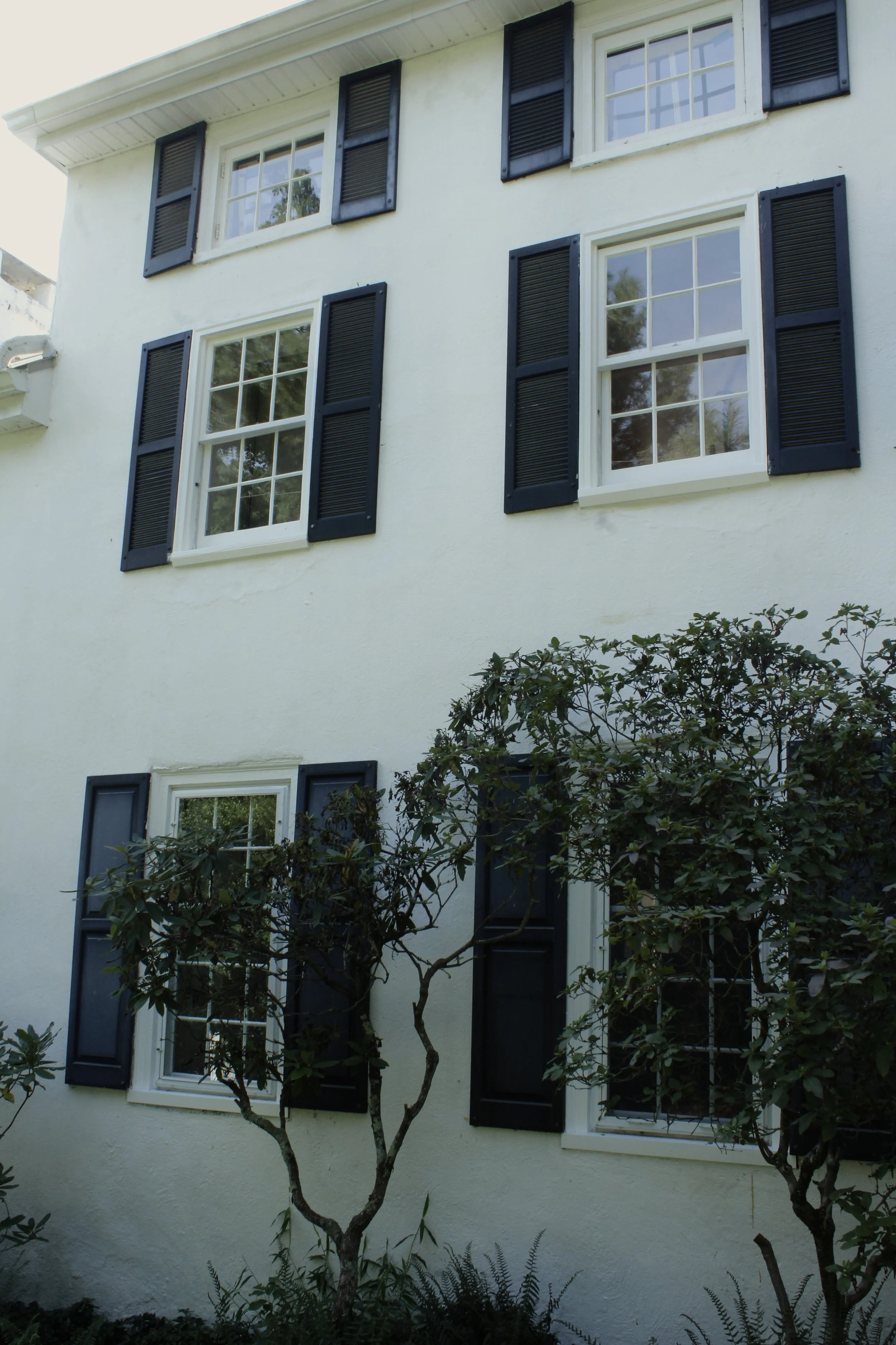 APLOHMANN-General Contracting-finecarpentry-mantheyfinal-windowrestoration (1) copy.jpeg