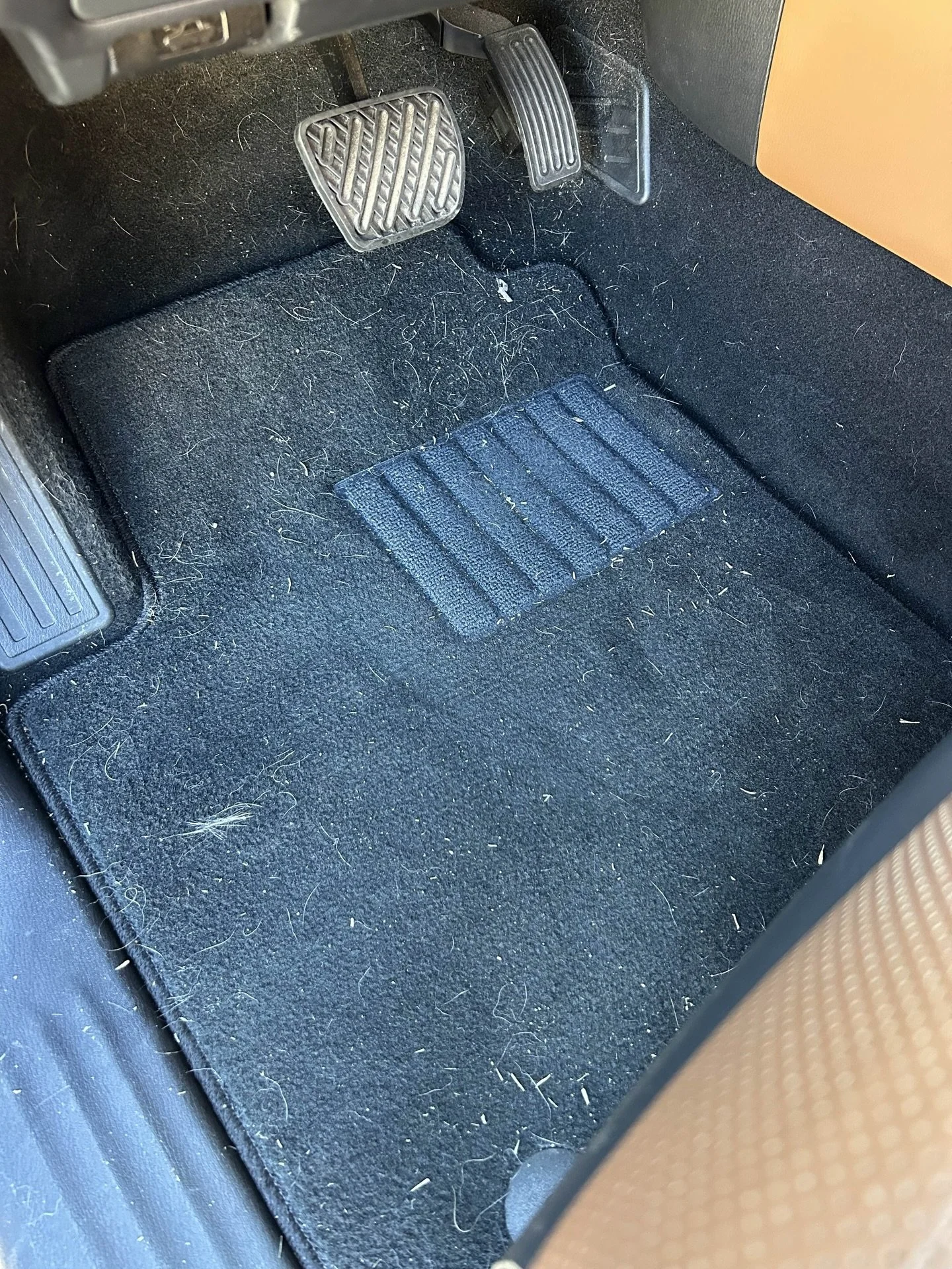 From &ldquo;A dog lives in this car&rdquo; to &ldquo;Oh, you guys have a dog?&rdquo;

We completely transformed this Infiniti QX80 with an Interior Reset detail to get it looking like new.
#cardetailing #cartransformation #carcare