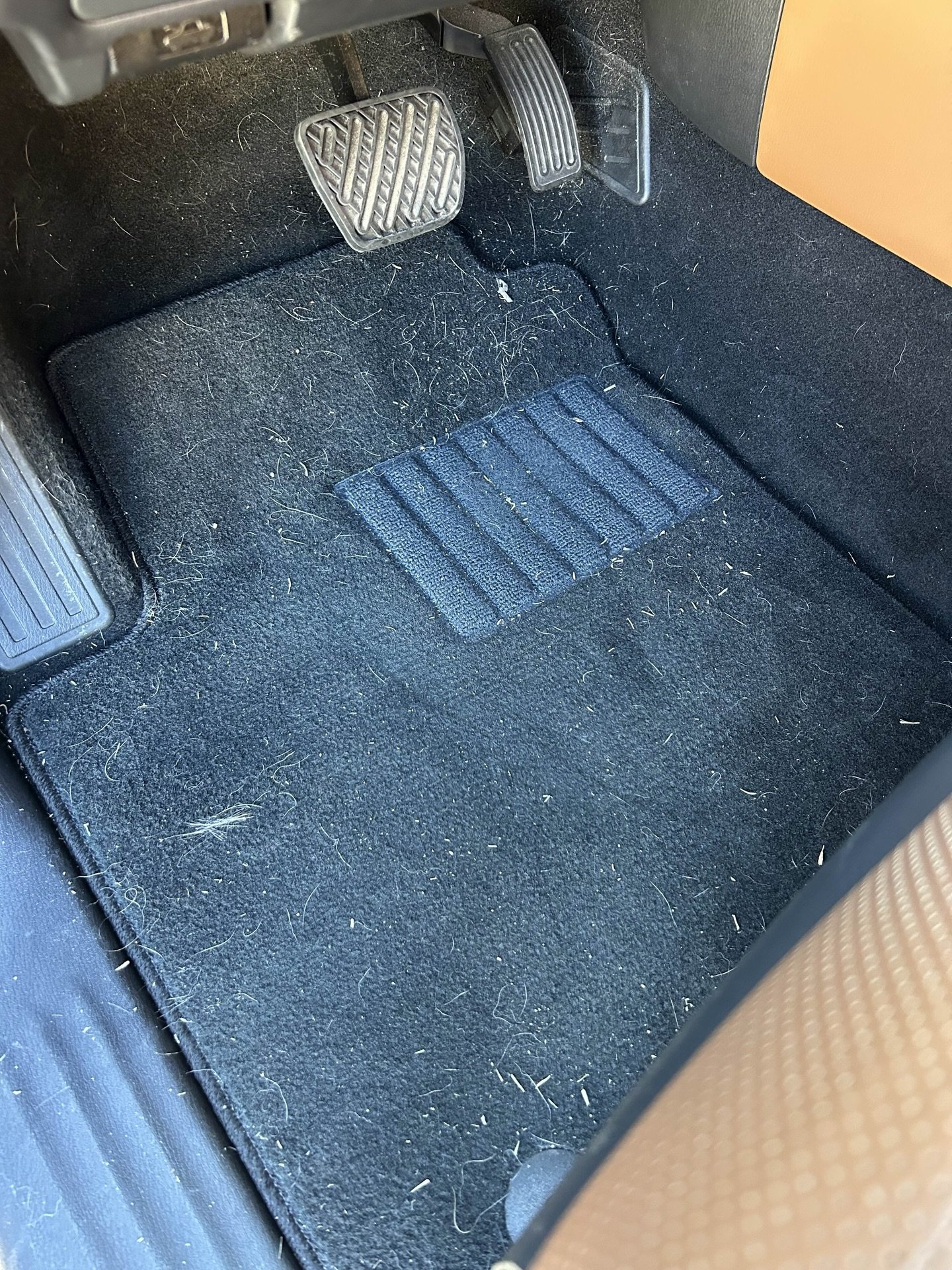 From &ldquo;A dog lives in this car&rdquo; to &ldquo;Oh, you guys have a dog?&rdquo;

We completely transformed this Infiniti QX80 with an Interior Reset detail to get it looking like new.
#cardetailing #cartransformation #carcare