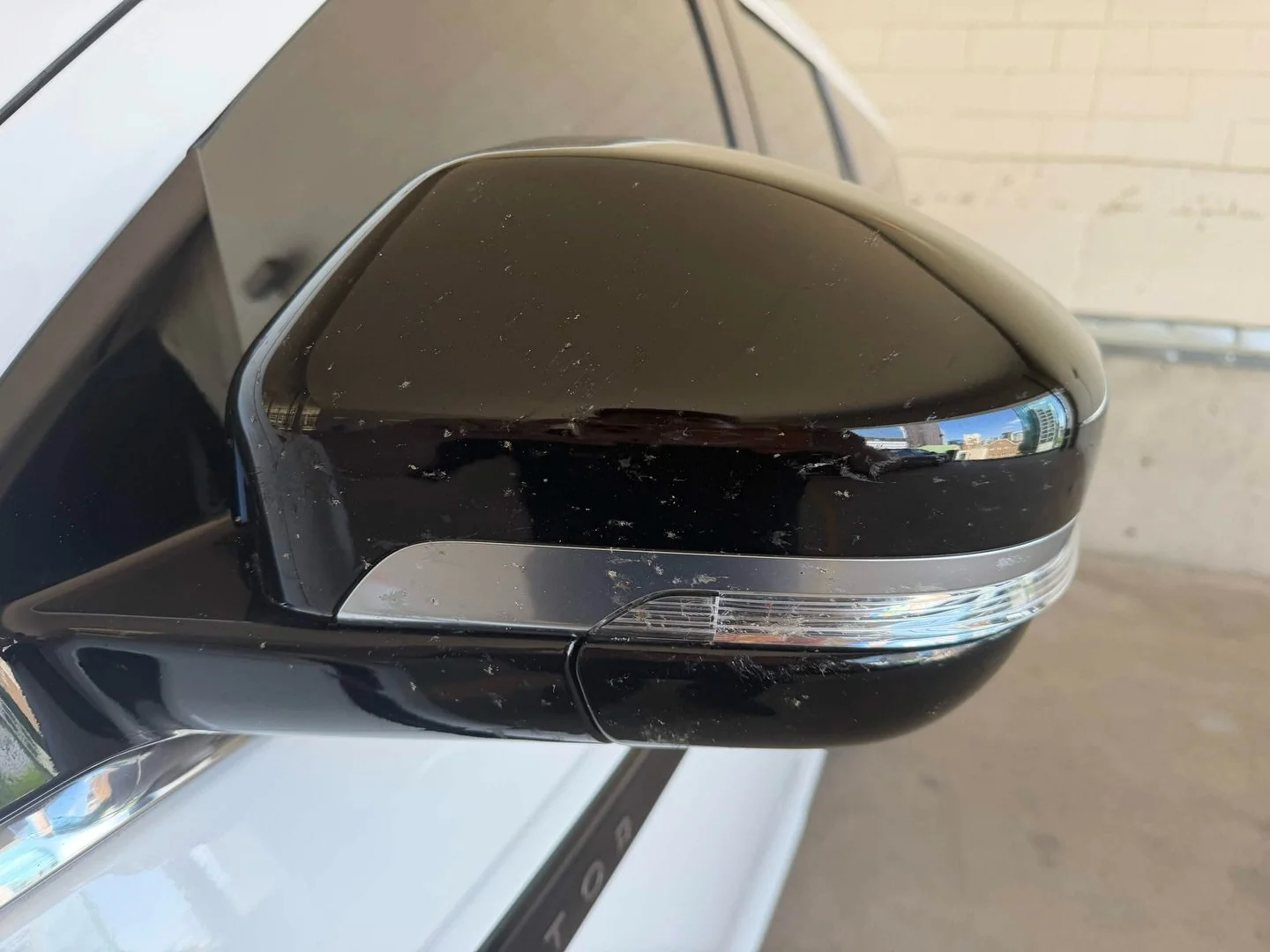 Finished up this car in downtown Dallas to clean it off from a long road trip. Bugs can etch into your paint if you don&rsquo;t take care of them immediately so it&rsquo;s important to get your car cleaned regularly, especially after long trips. #car