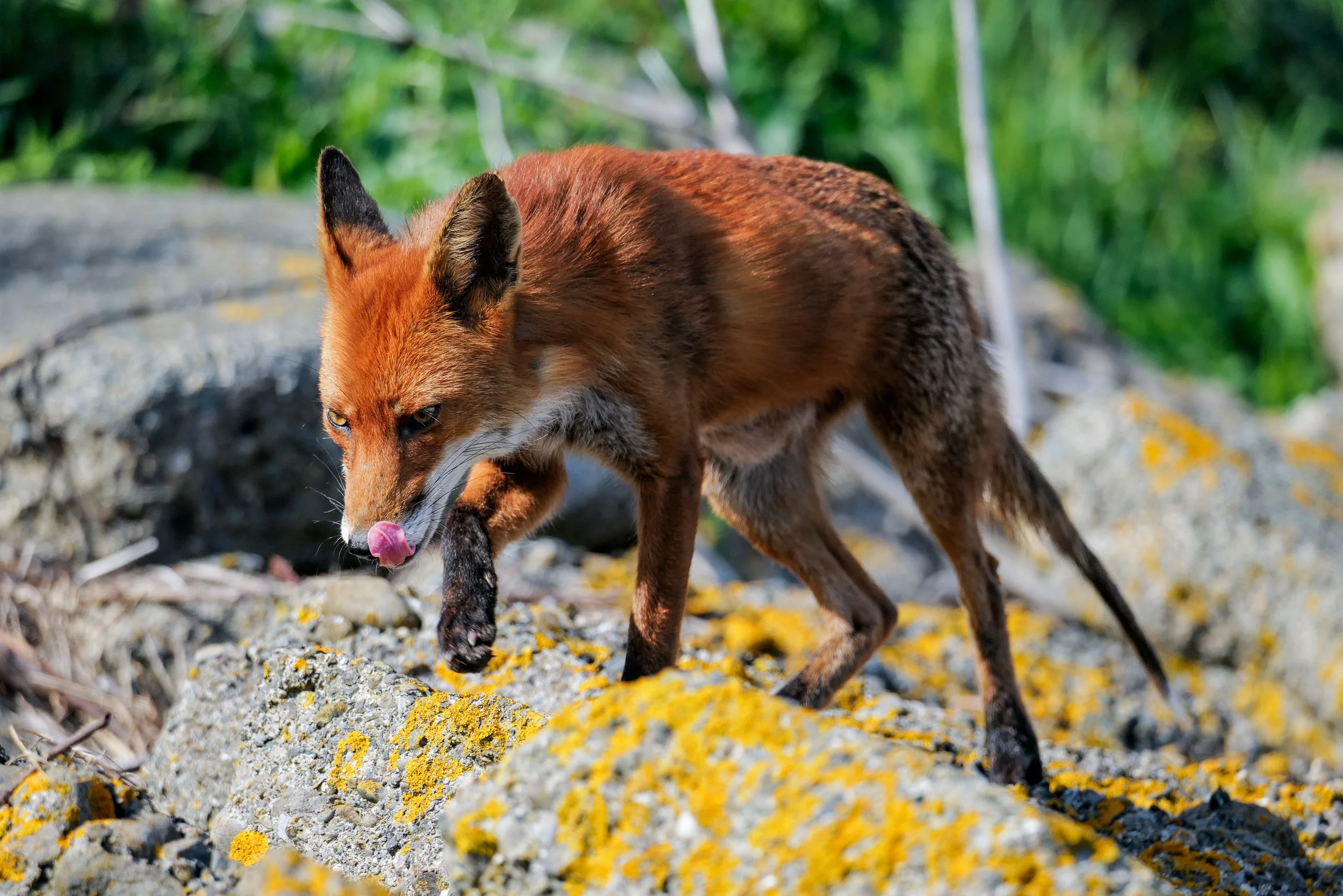 WEBSITEIRELAND JPEG08.jpg