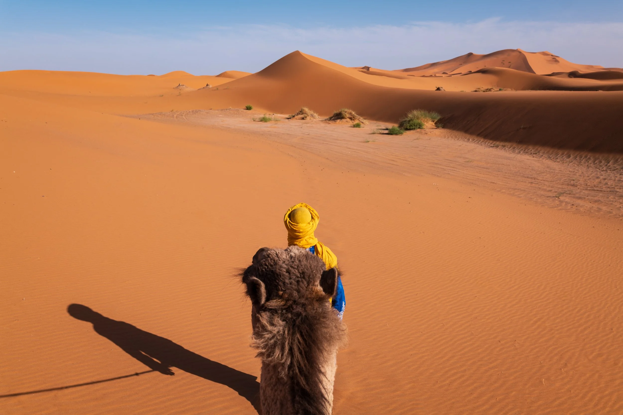 WEBSITEBERBER WEEK01.jpg