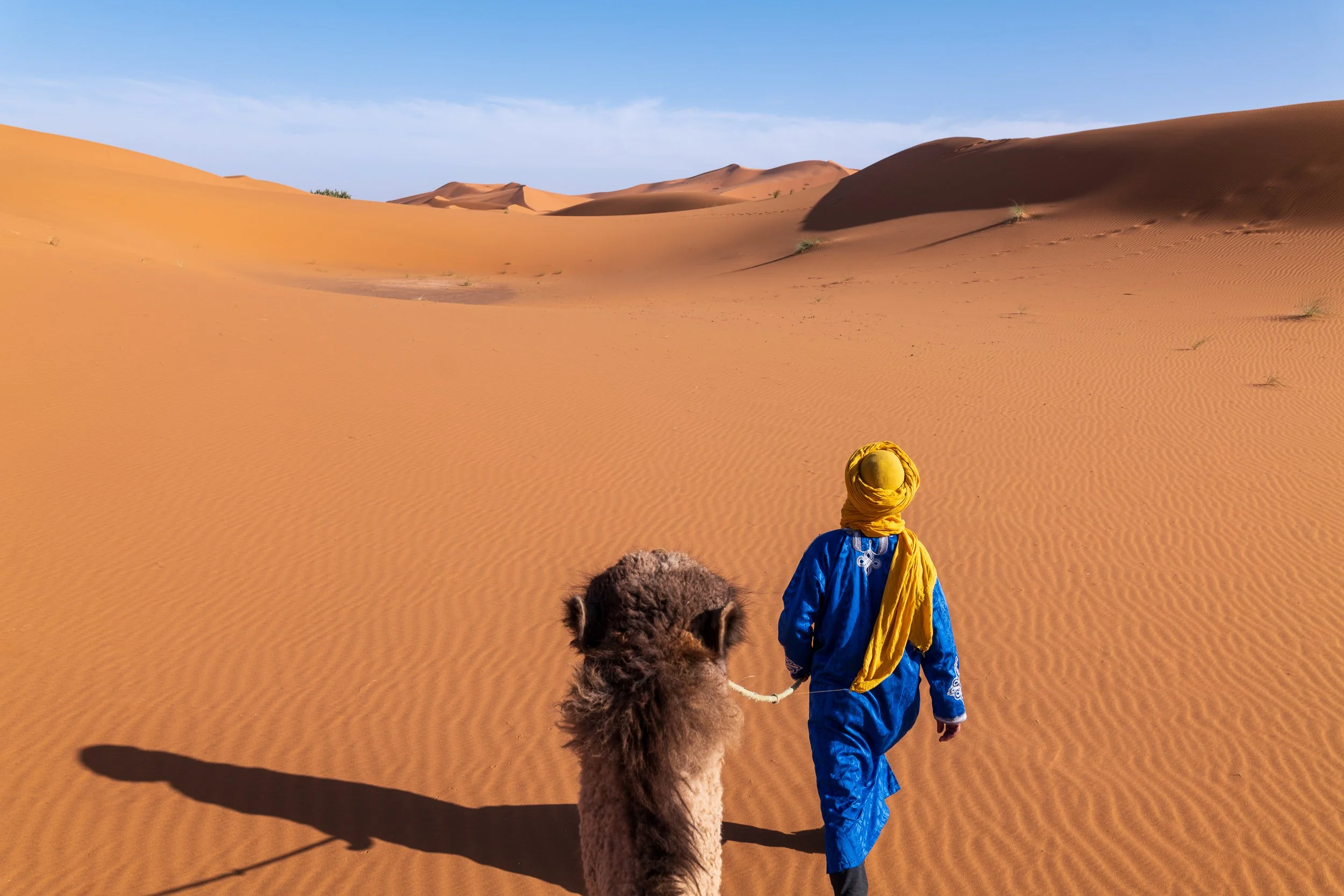 WEBSITEBERBER WEEK06.jpg