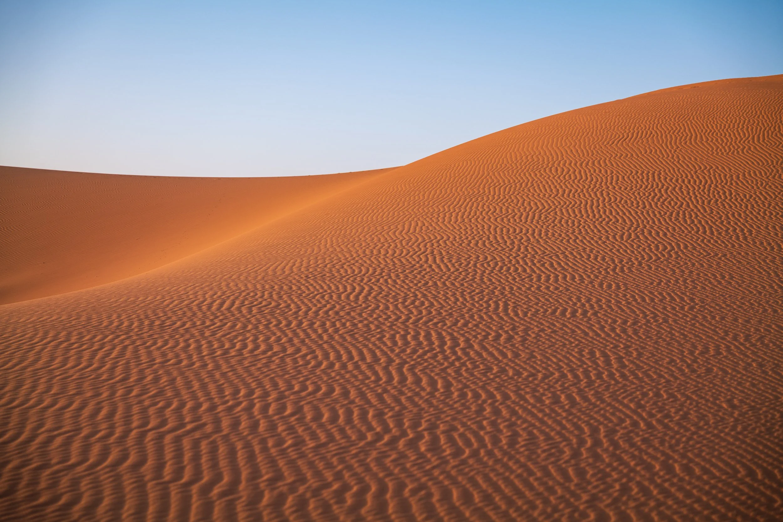 WEBSITEBERBER WEEK05.jpg