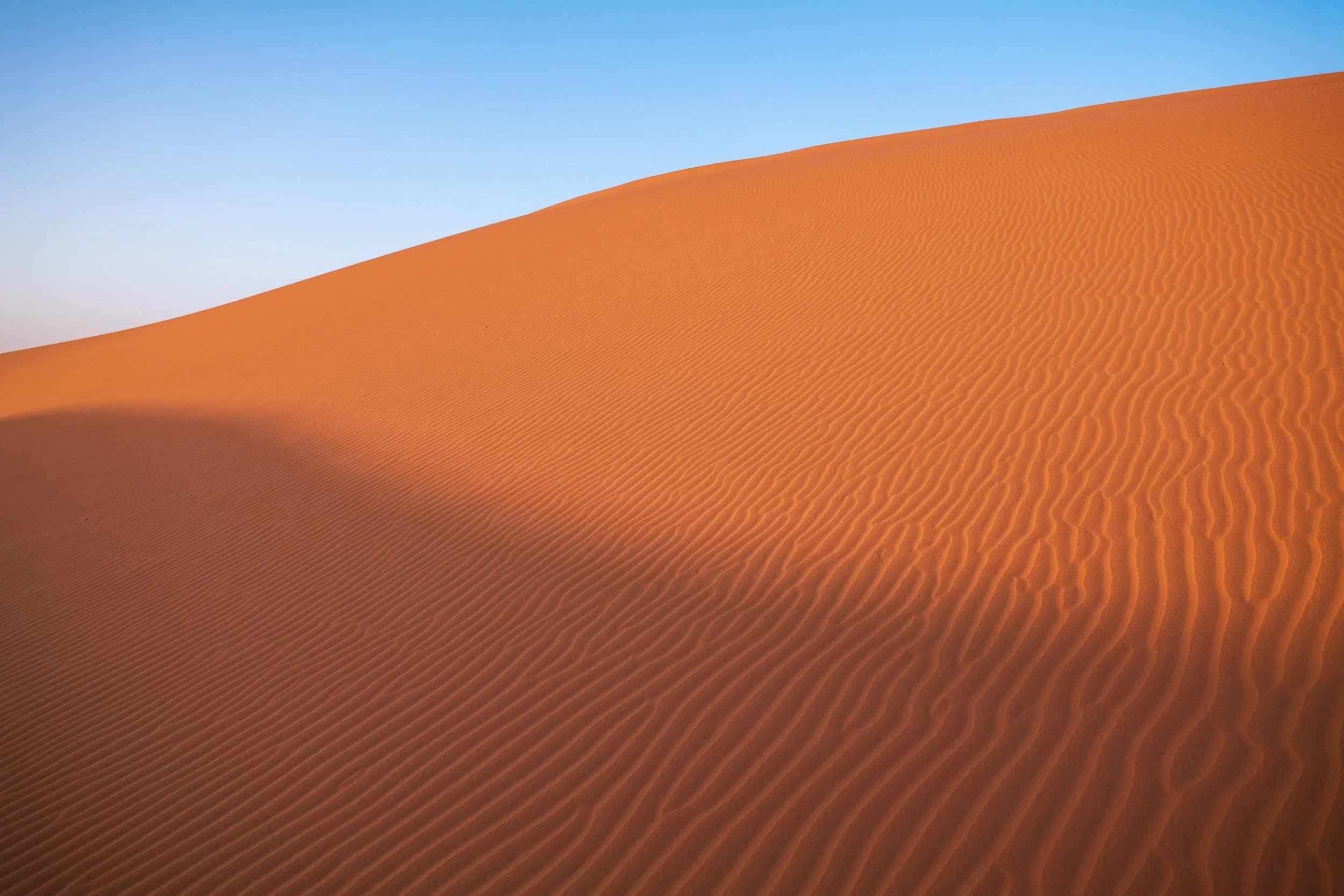 WEBSITEBERBER WEEK04.jpg