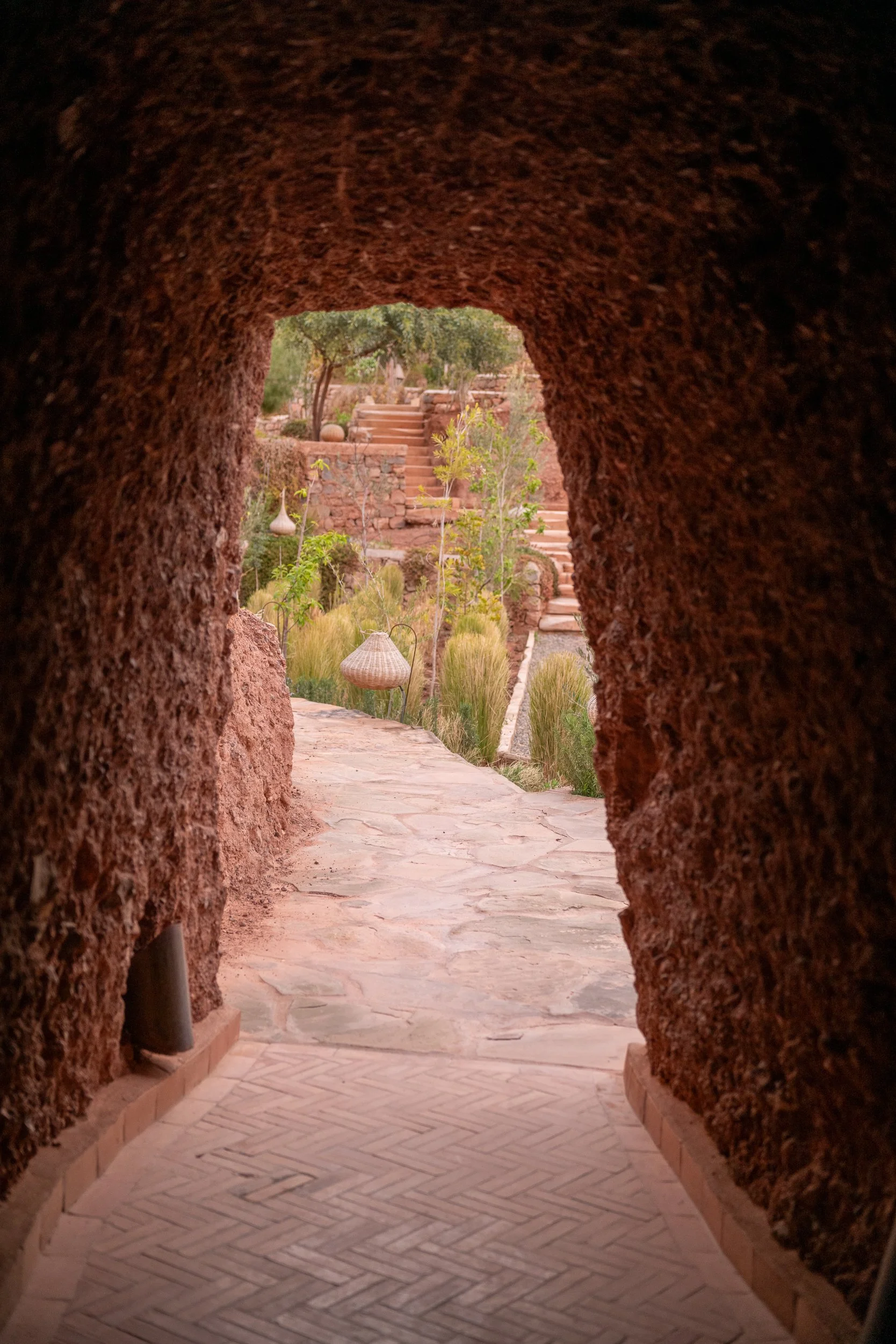 WEBSITEBERBER WEEK13.jpg