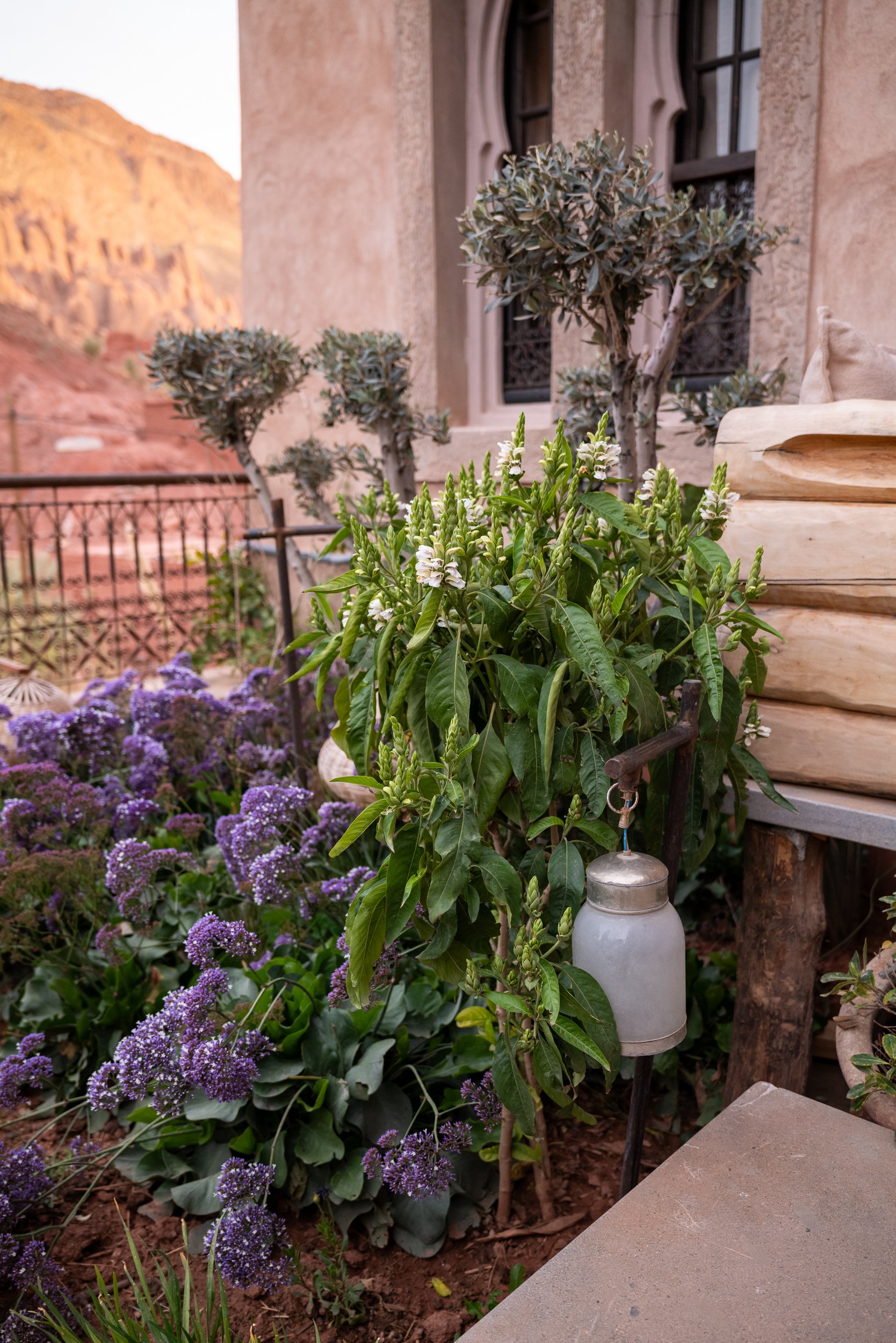 WEBSITEBERBER WEEK08-3.jpg