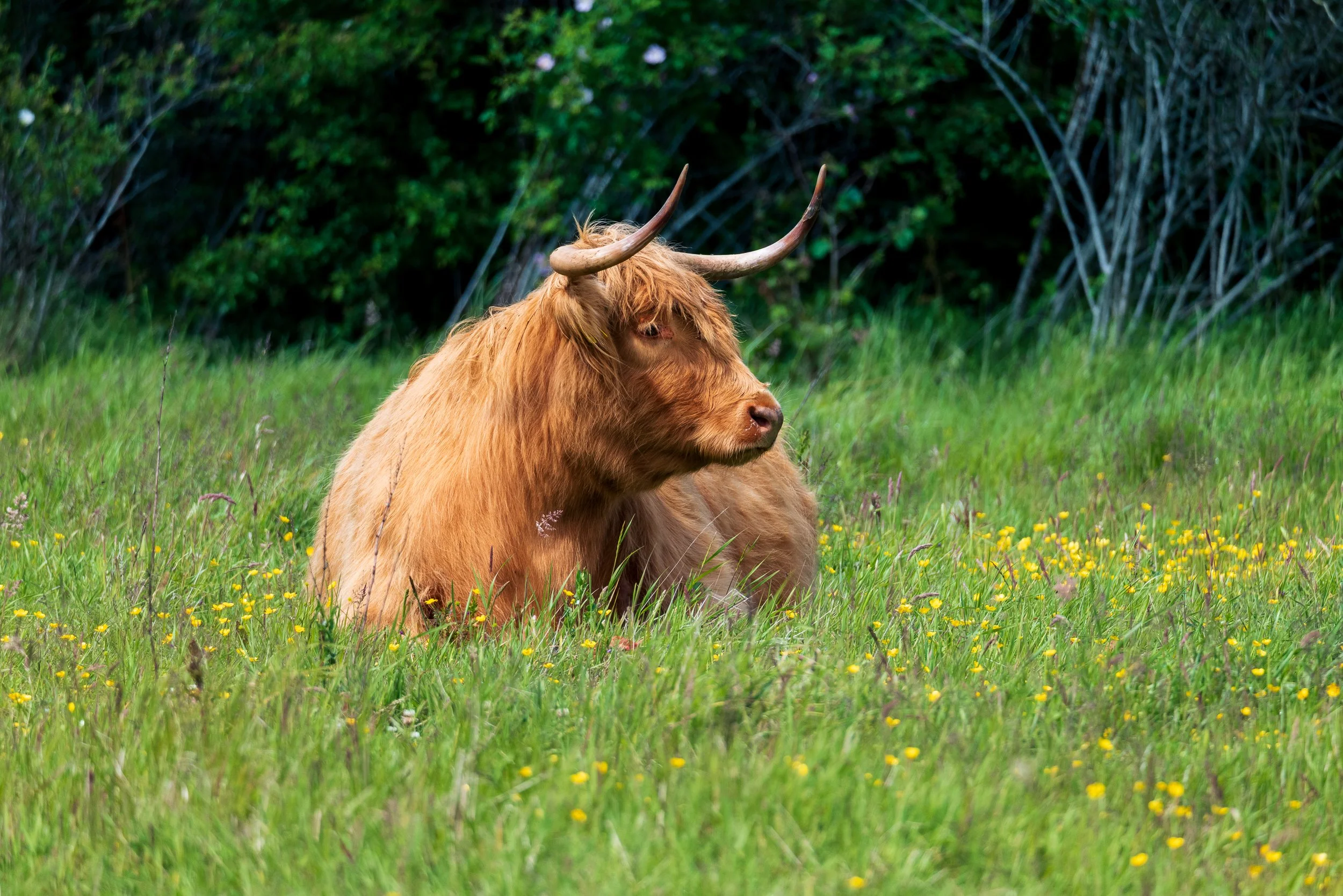 WEBSITETURVEY NATIONAL PARK01.jpg