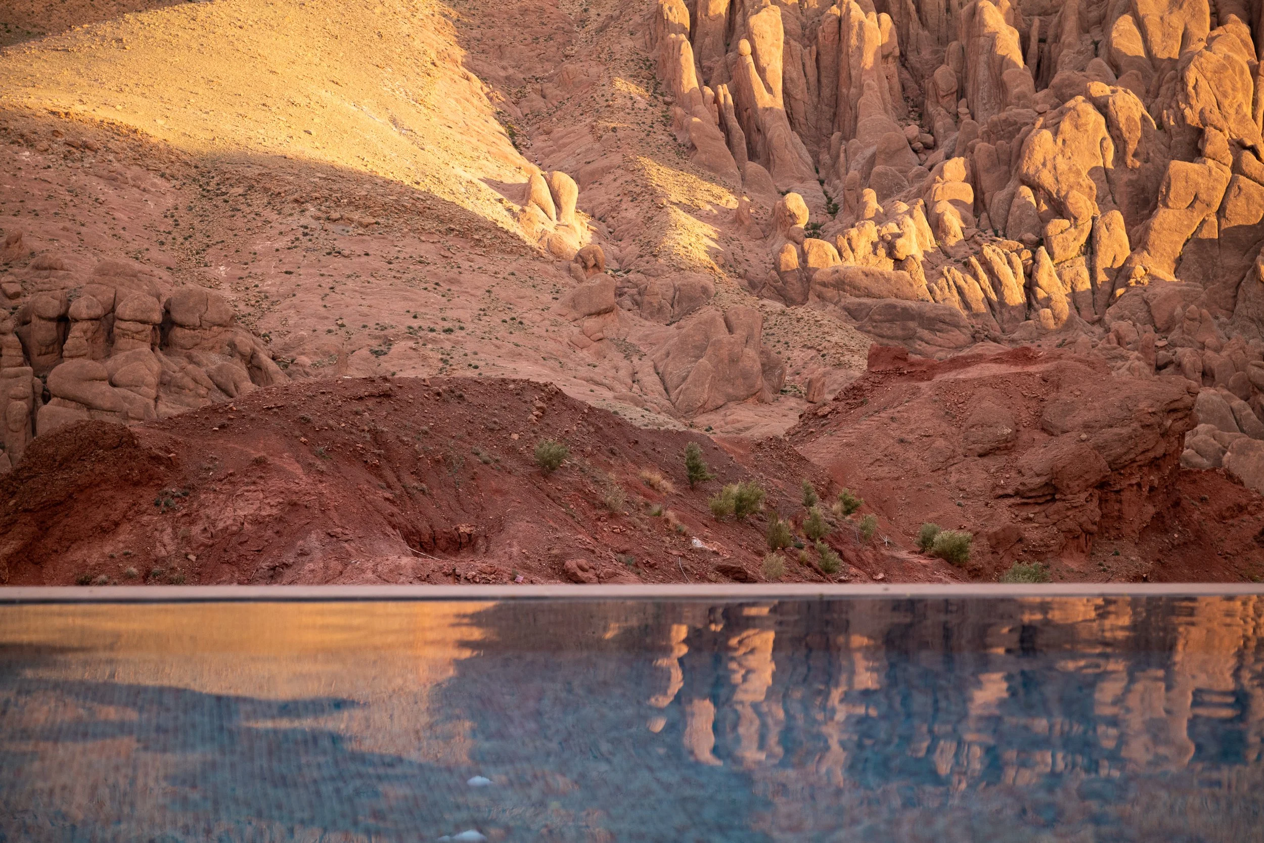 WEBSITEBERBER WEEK15.jpg