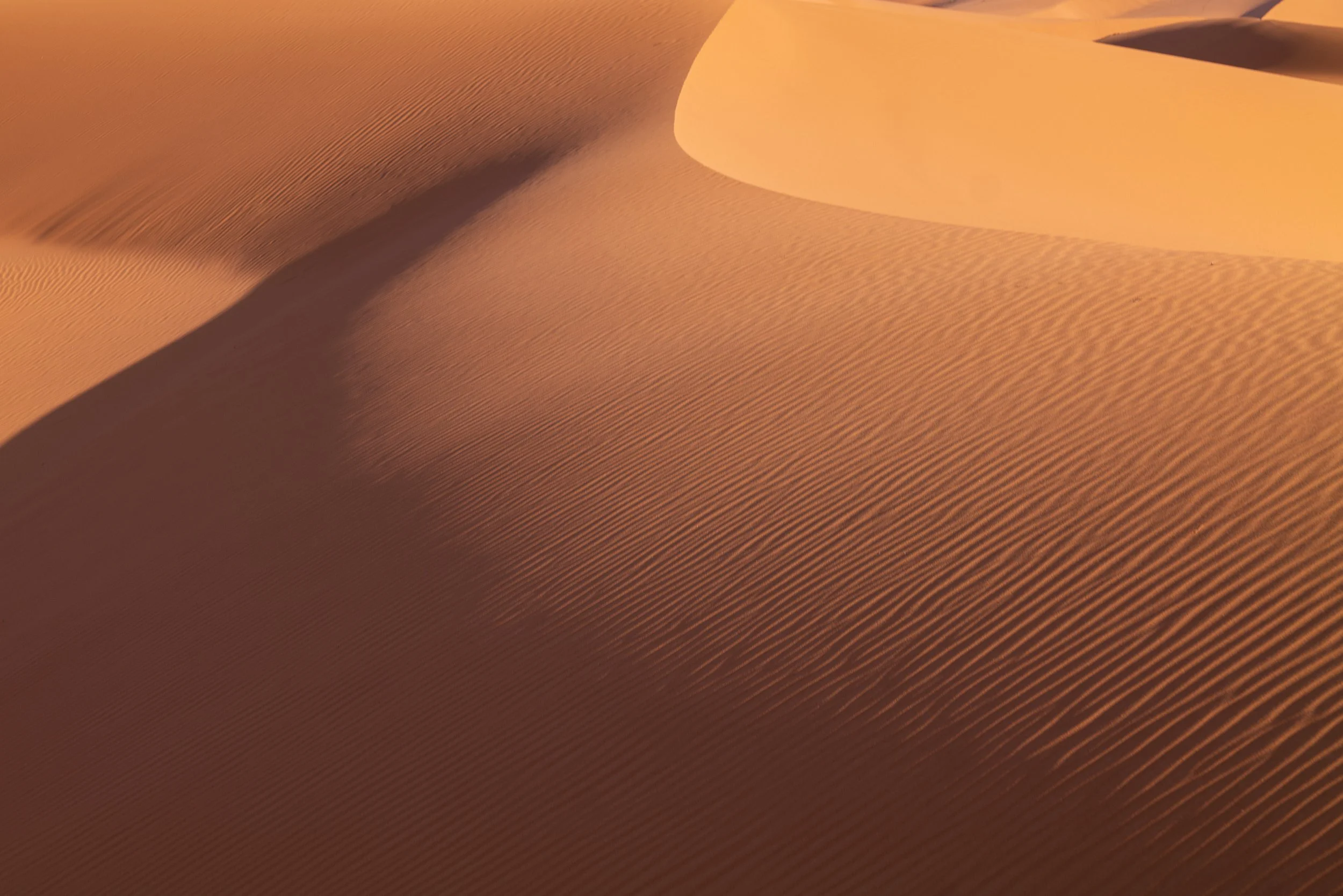 WEBSITEBERBER WEEK25.jpg