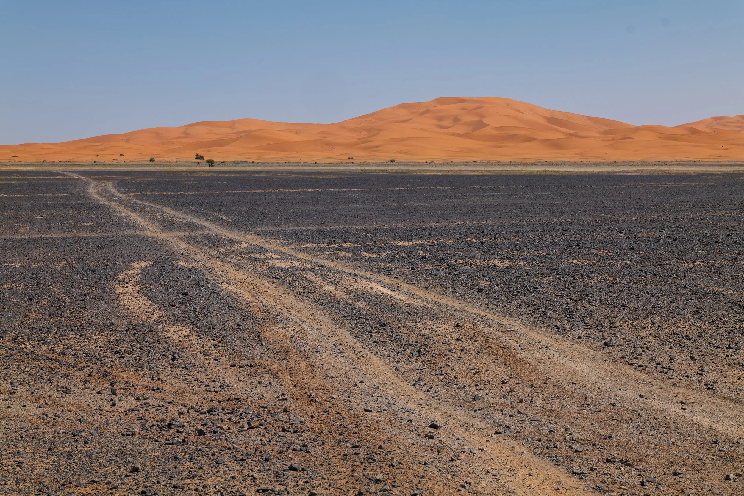 WEBSITEBERBER WEEK04-2.jpg