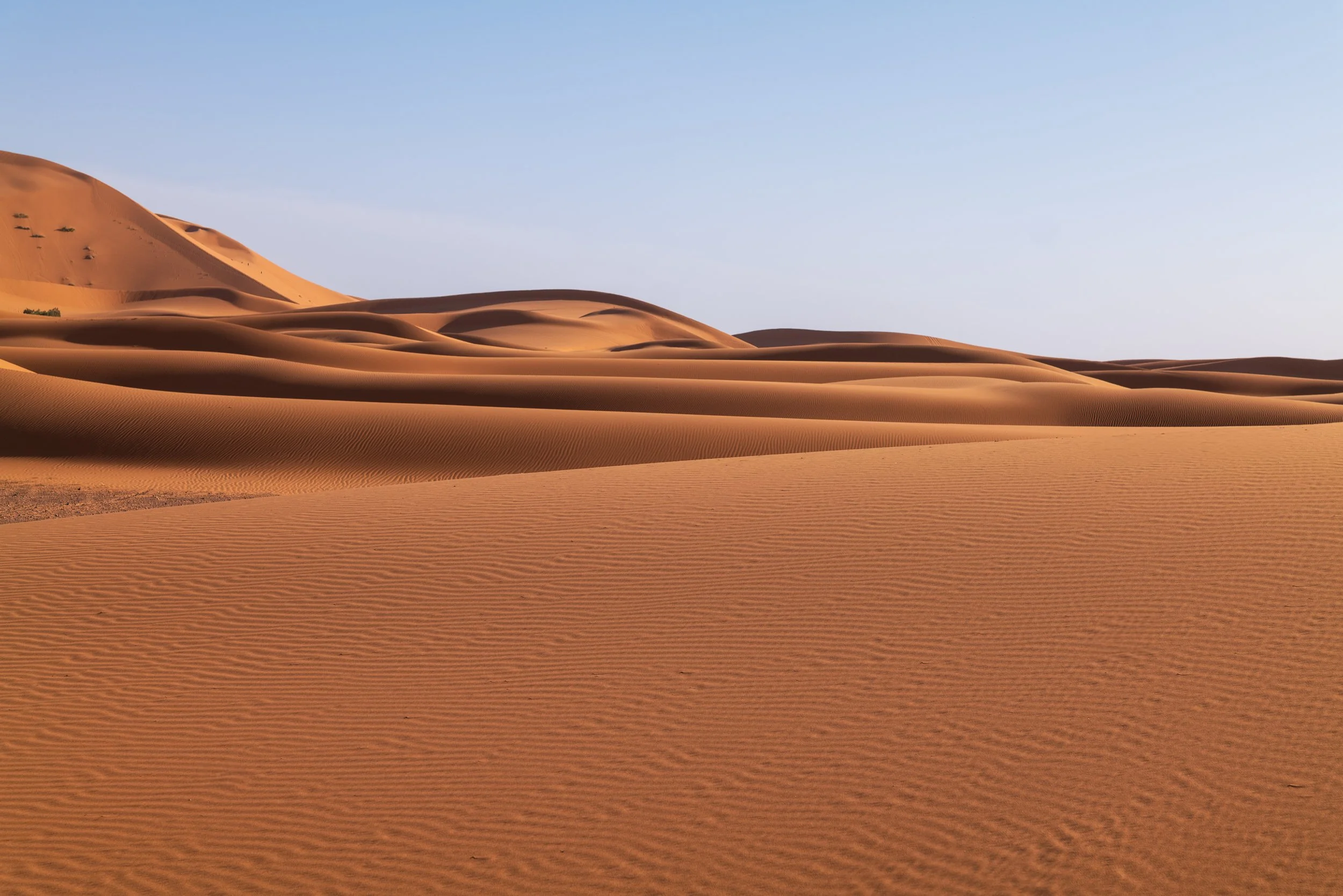 WEBSITEBERBER WEEK24.jpg