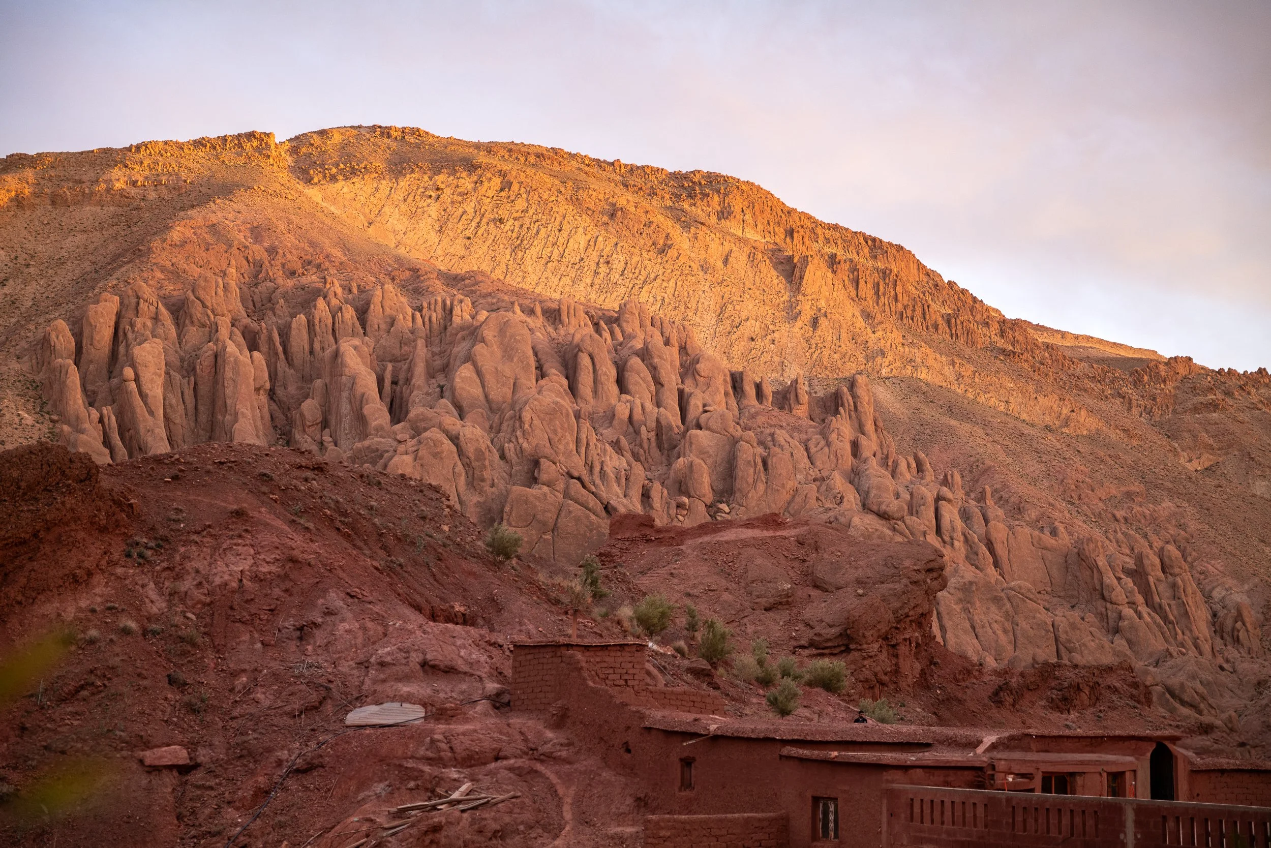 WEBSITEBERBER WEEK07-3.jpg