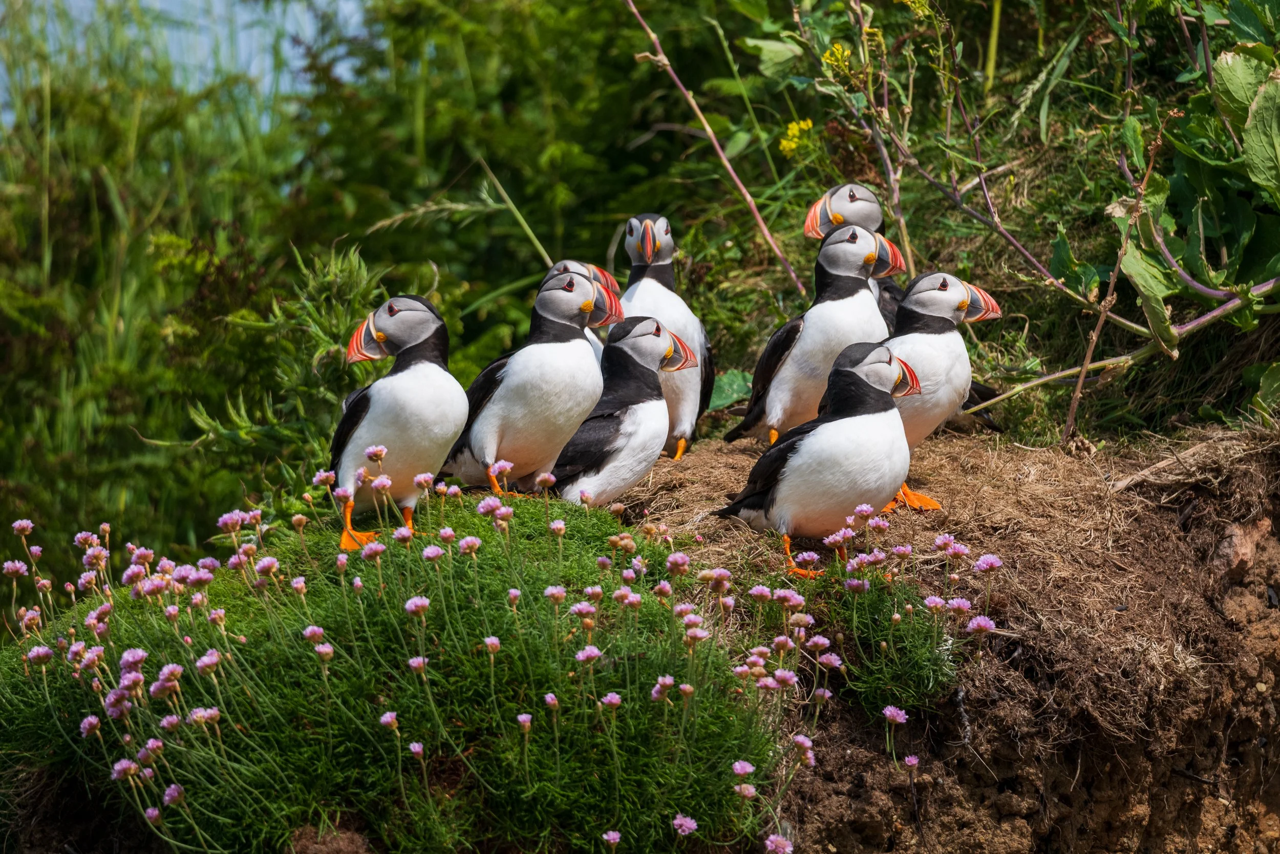 WEBSITEGREAT SALTEE05-2.jpg