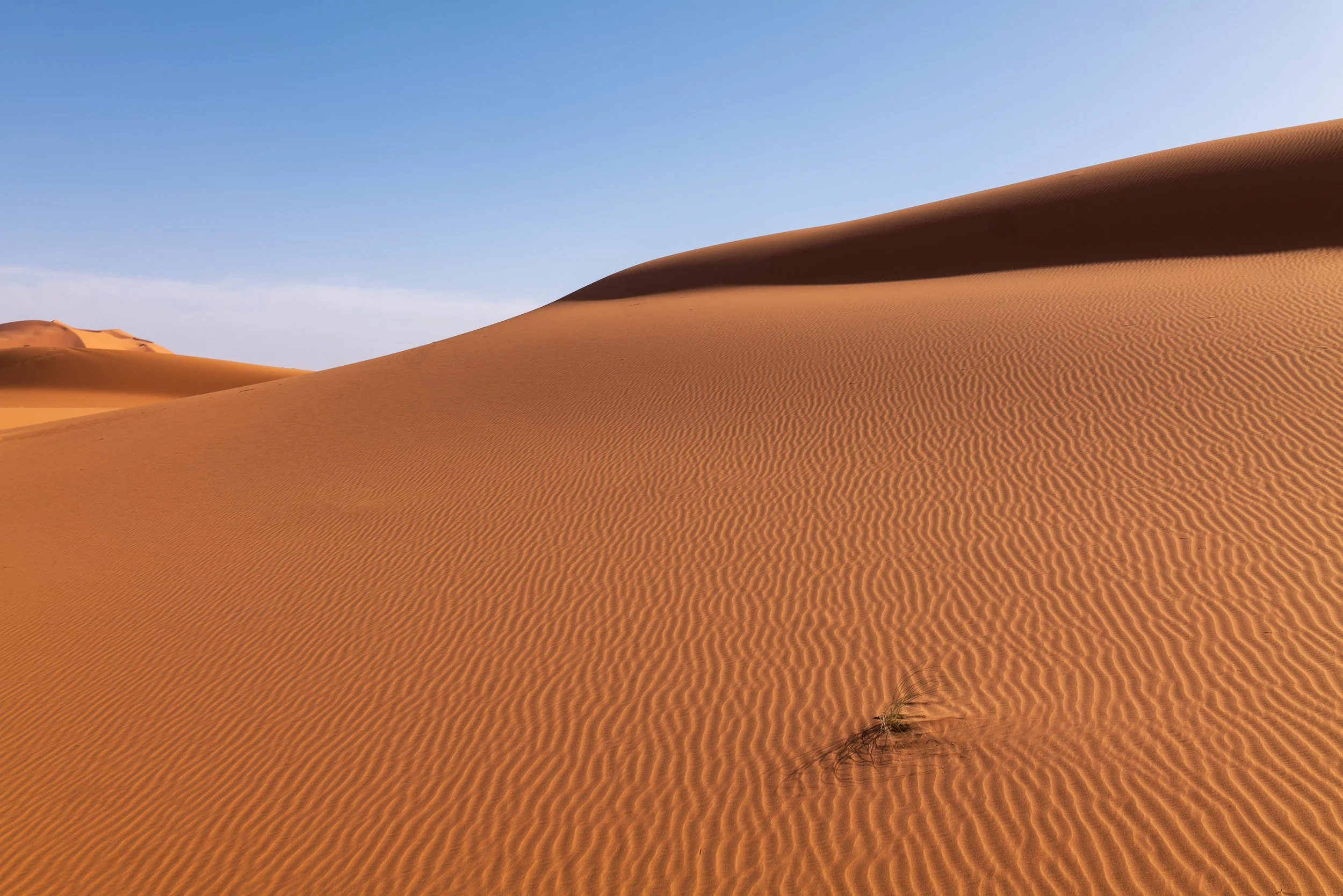 WEBSITEBERBER WEEK07.jpg