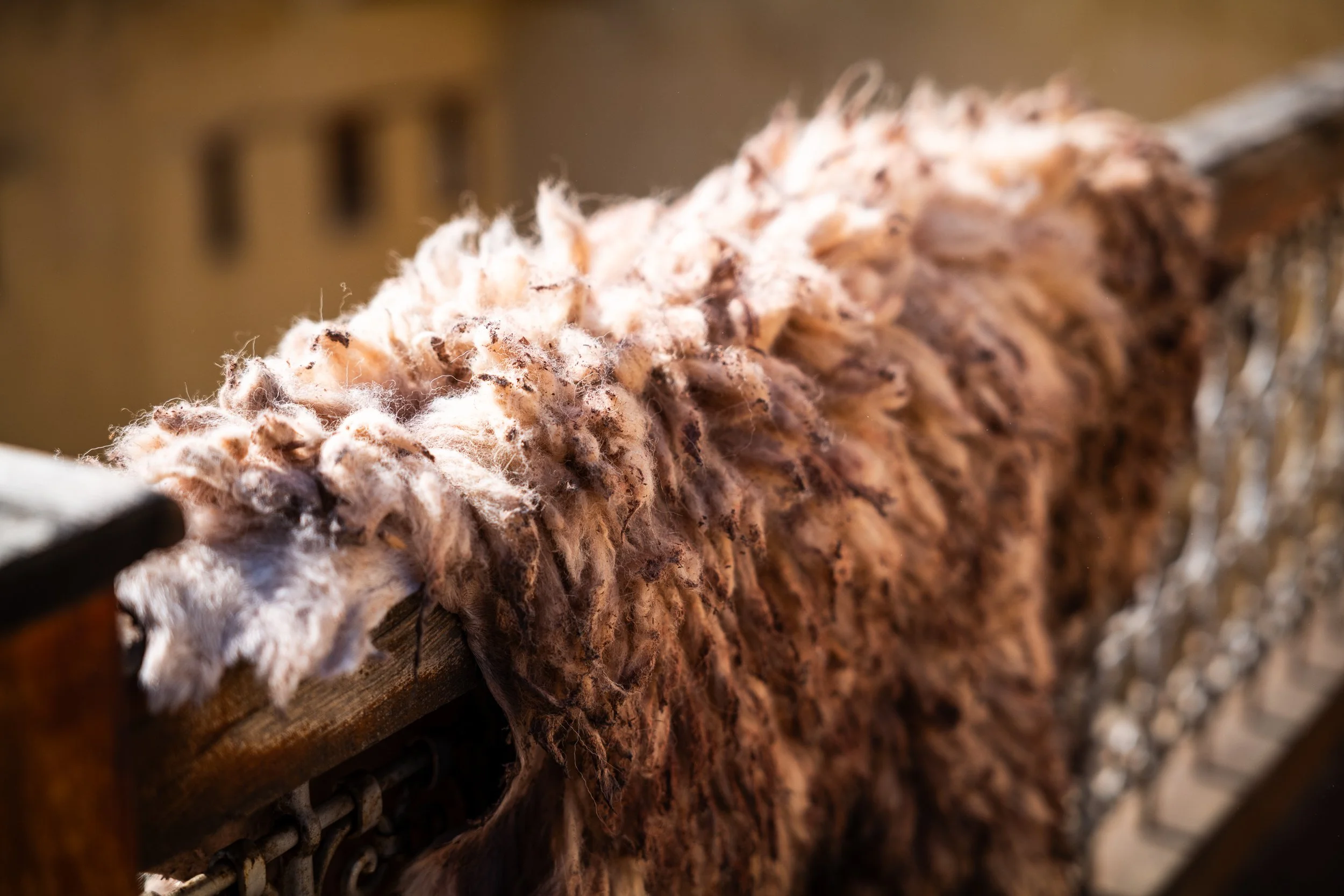 WEBSITECHOUARA TANNERY08.jpg