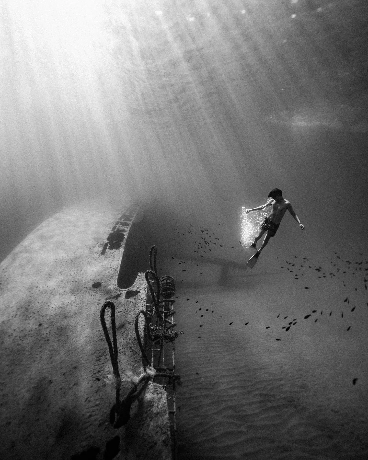 Still can&rsquo;t forget this dive &mdash; it was one of those rare moments where you stumble upon something incredible without even looking for it. We weren&rsquo;t searching for a wreck, but there it was&hellip; a massive ship resting on the ocean 