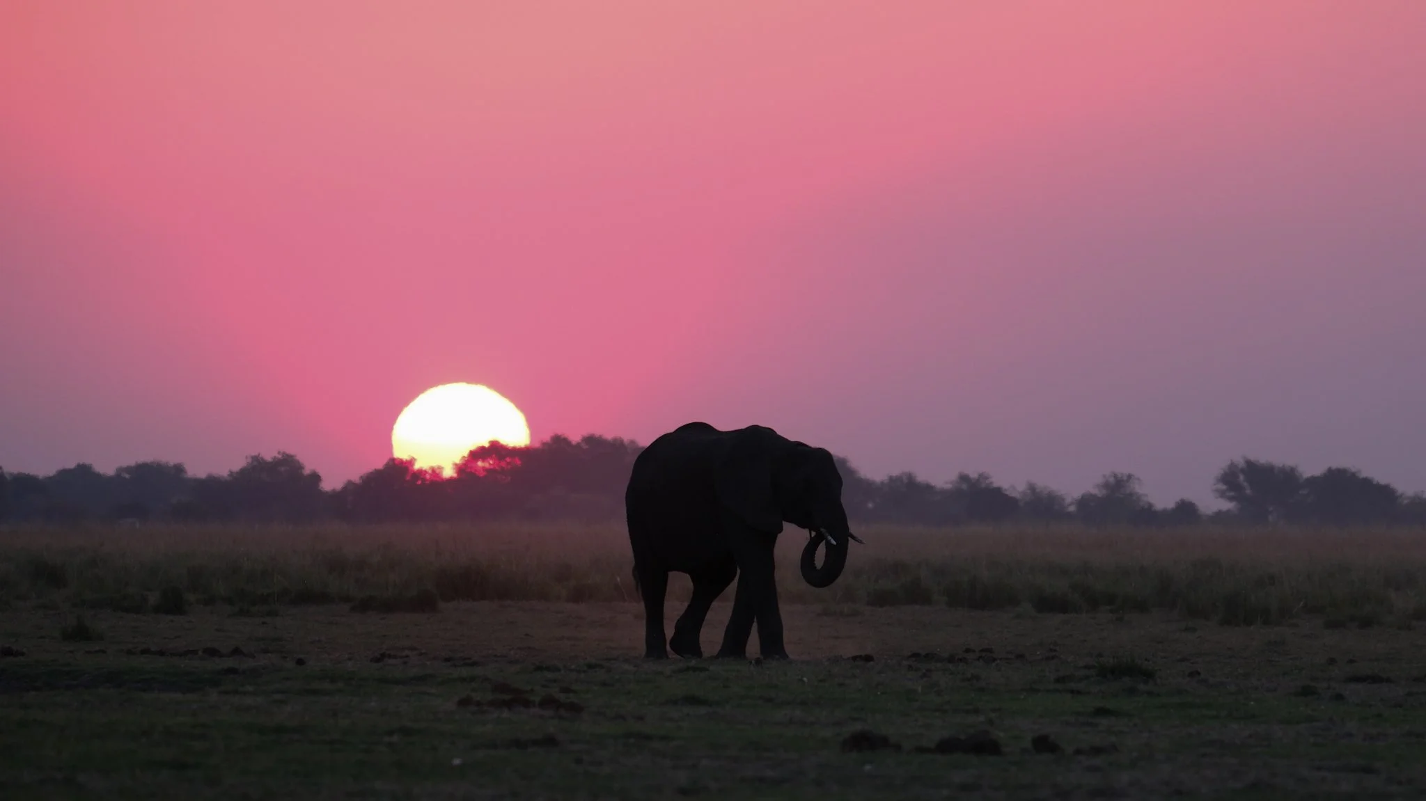 Southern Africa