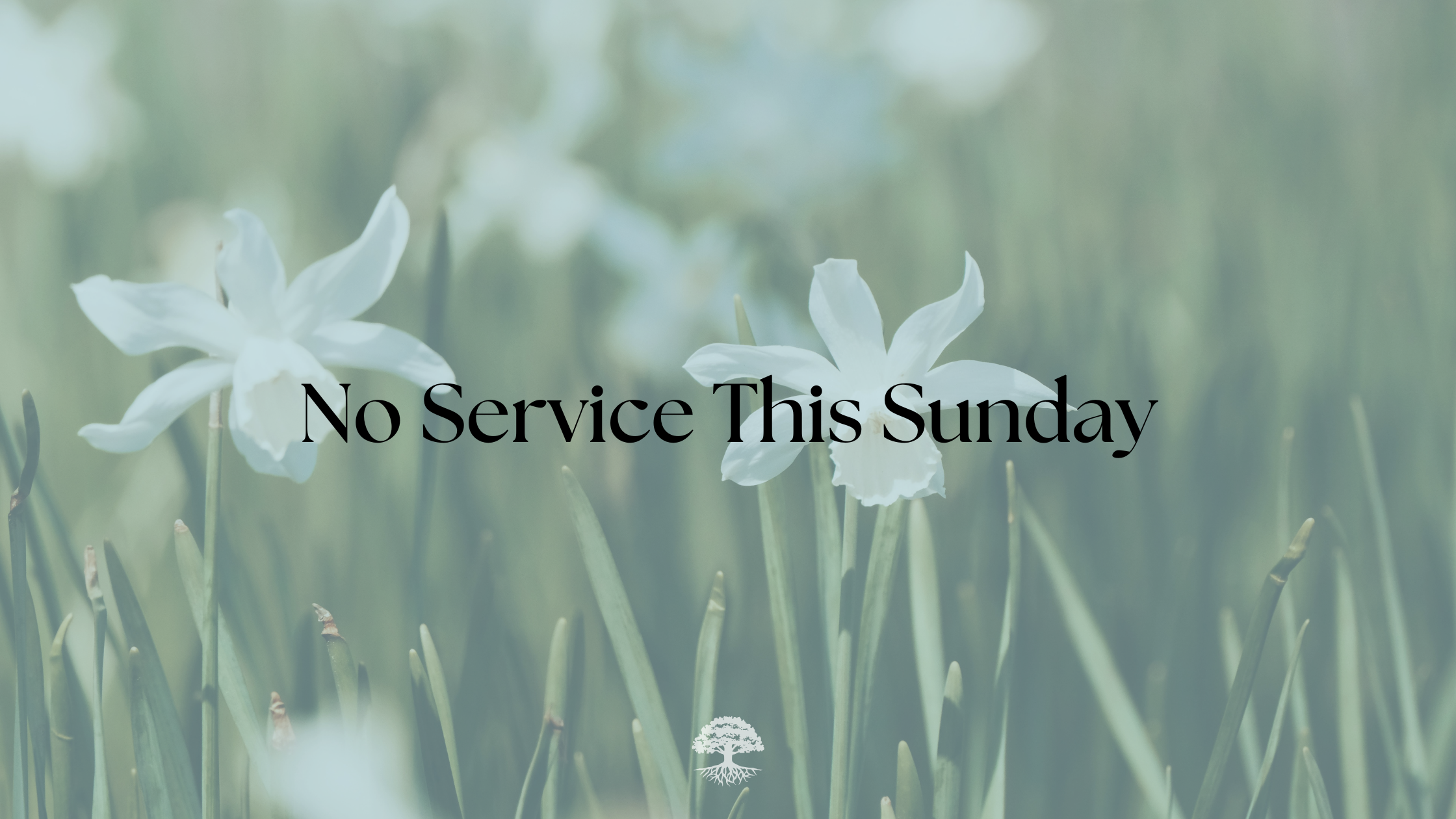 No Sunday Service