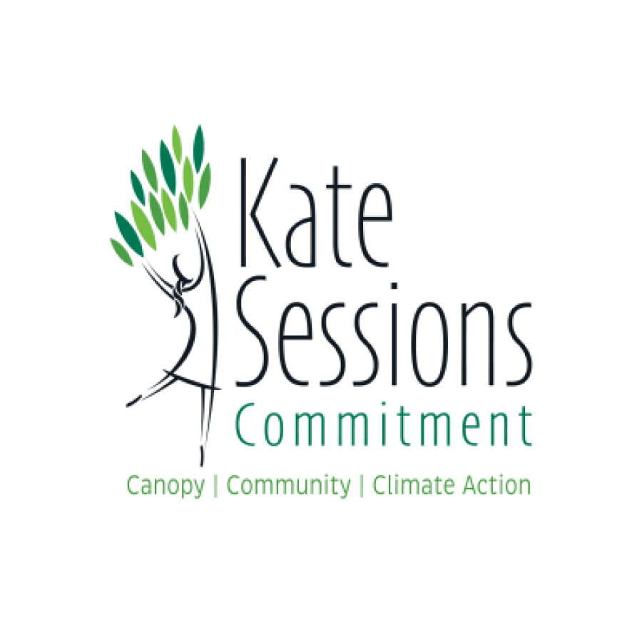Kate_Session_Commitment.png