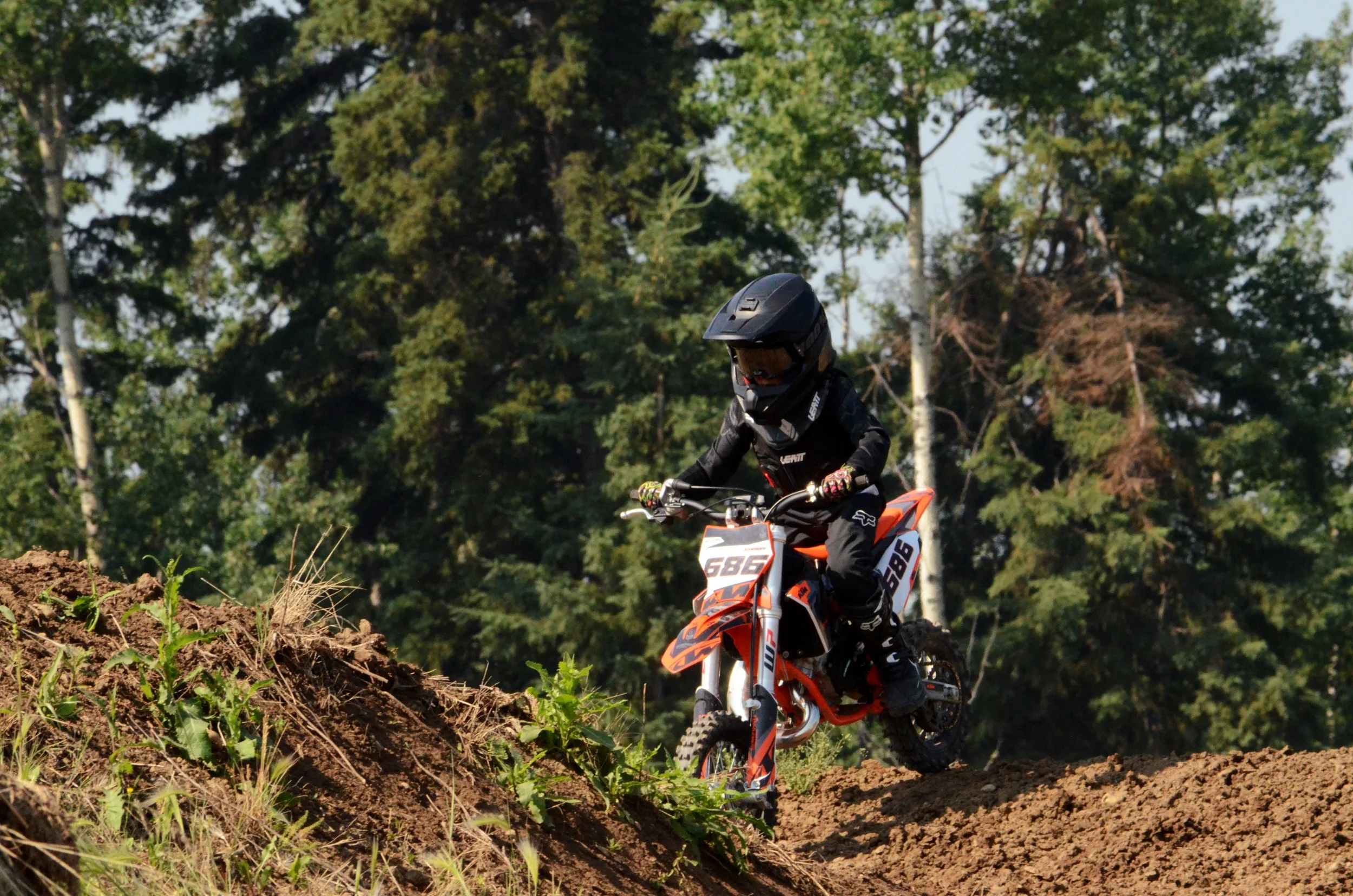 DSC_7611.jpg