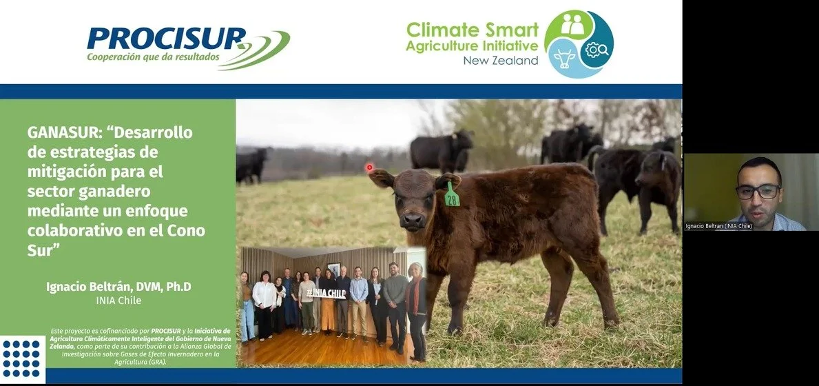 New Zealand–Backed Livestock Mitigation Project Highlighted at Regional Agricultural Council Meeting, Brazil