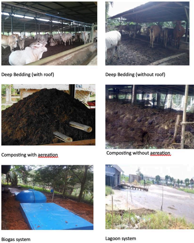 The 6 manure management systems used by  small holder farmers in Indonesia.