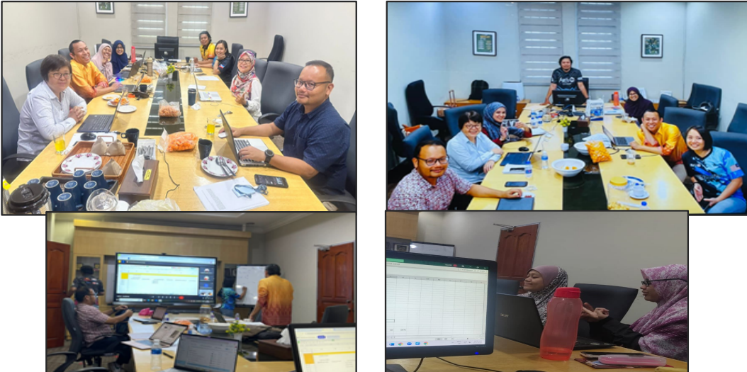 Regular discussions and progress meetings held monthly throughout the project, focusing on data compilation and analysis (UPM).