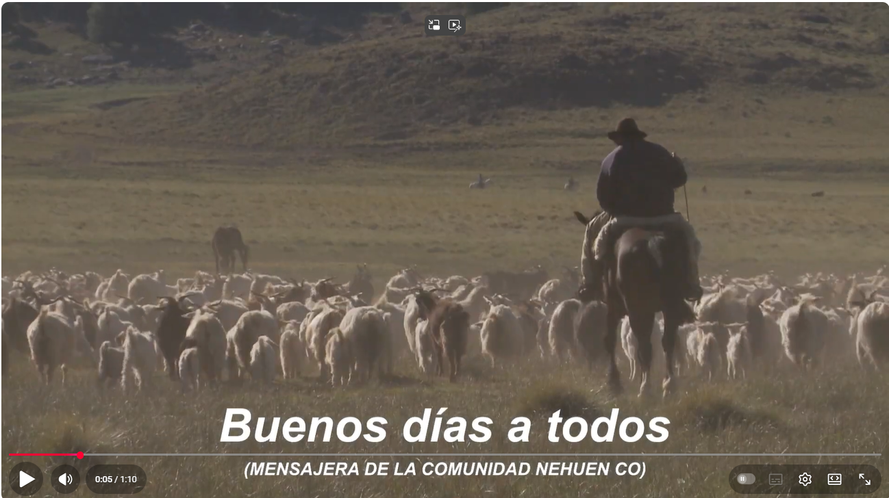 Promo video (Spanish Language), shows the Mapuche communities, faced with agricultural challenges such as water scarcity and poor livestock nutrition; and how through the project they are testing practices and technologies to improve livestock farmin