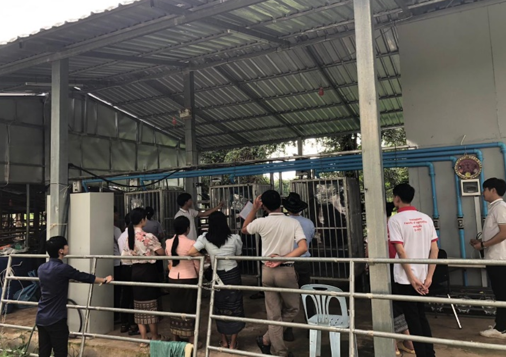 The NZCSA measurement facility is used to train a lot of university students. Here are 4th year Animal Science students during a study / field visit to learn about the headbox system and methane gas analysis (Aug 2024)