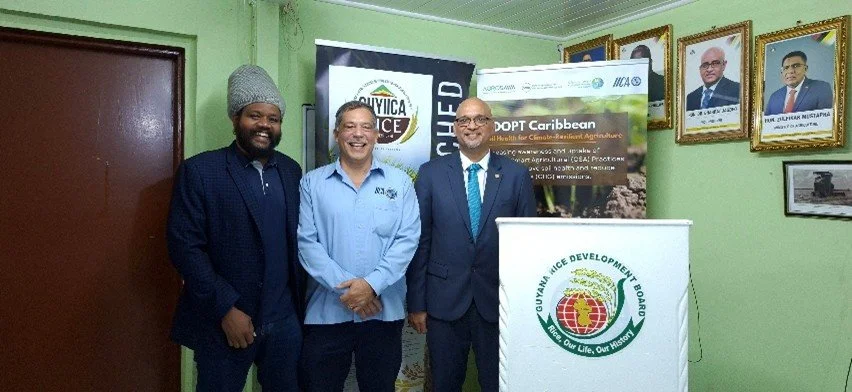 Project Technical Lead, Chaney St. Martin; IICA Representative in Guyana, Wilmot Garnett; IICA Representative in Jamaica, Kent Coipel (Mar 2026)