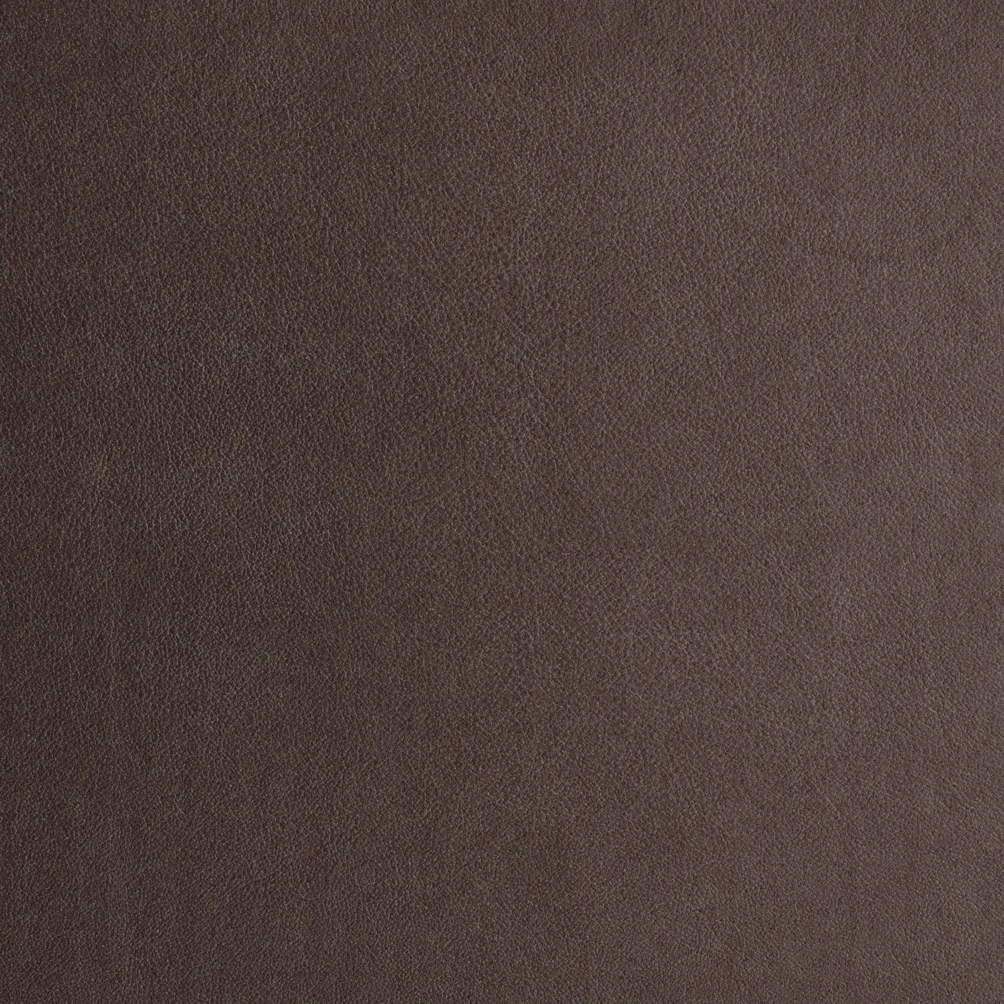 Standard Leather - Peppercorn