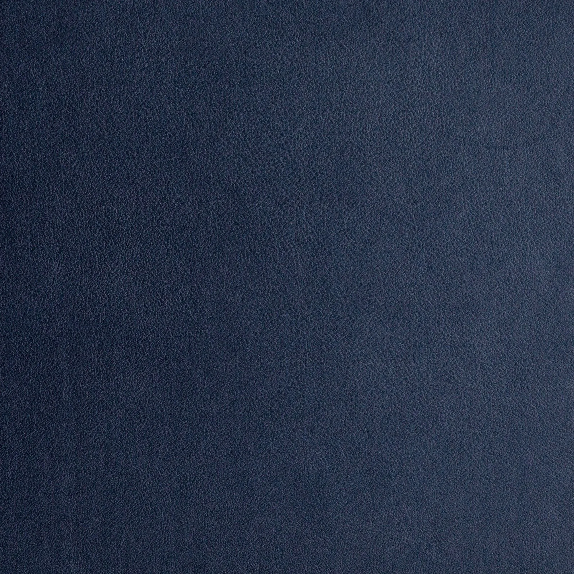 Standard Leather - Monsoon