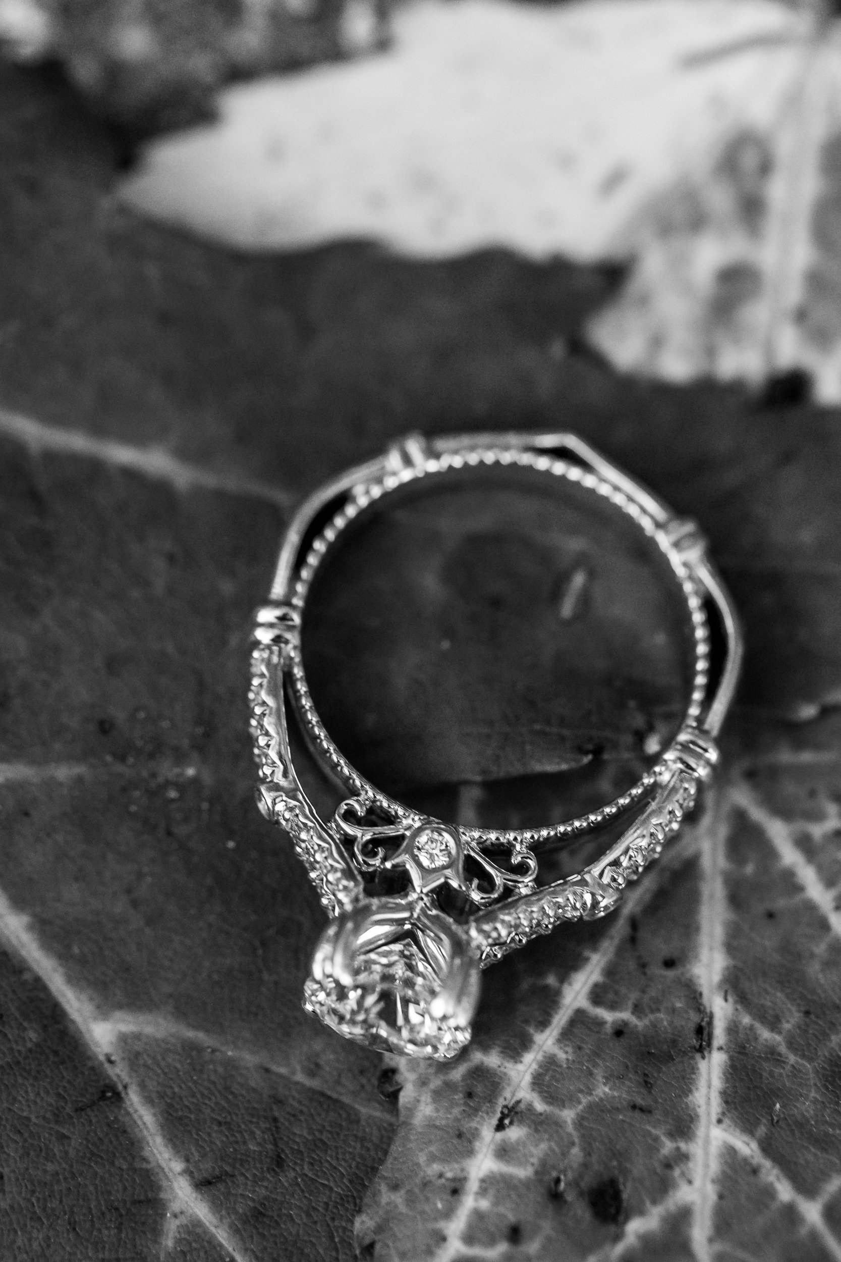stony-creek-metropark-engagement-2022-cc-44.jpeg