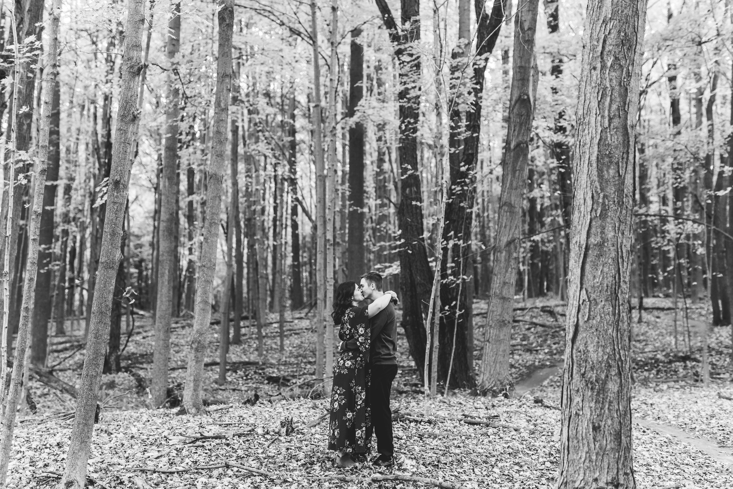 kandra-lynn-photography-maybury-state-park-engagement-30.jpeg