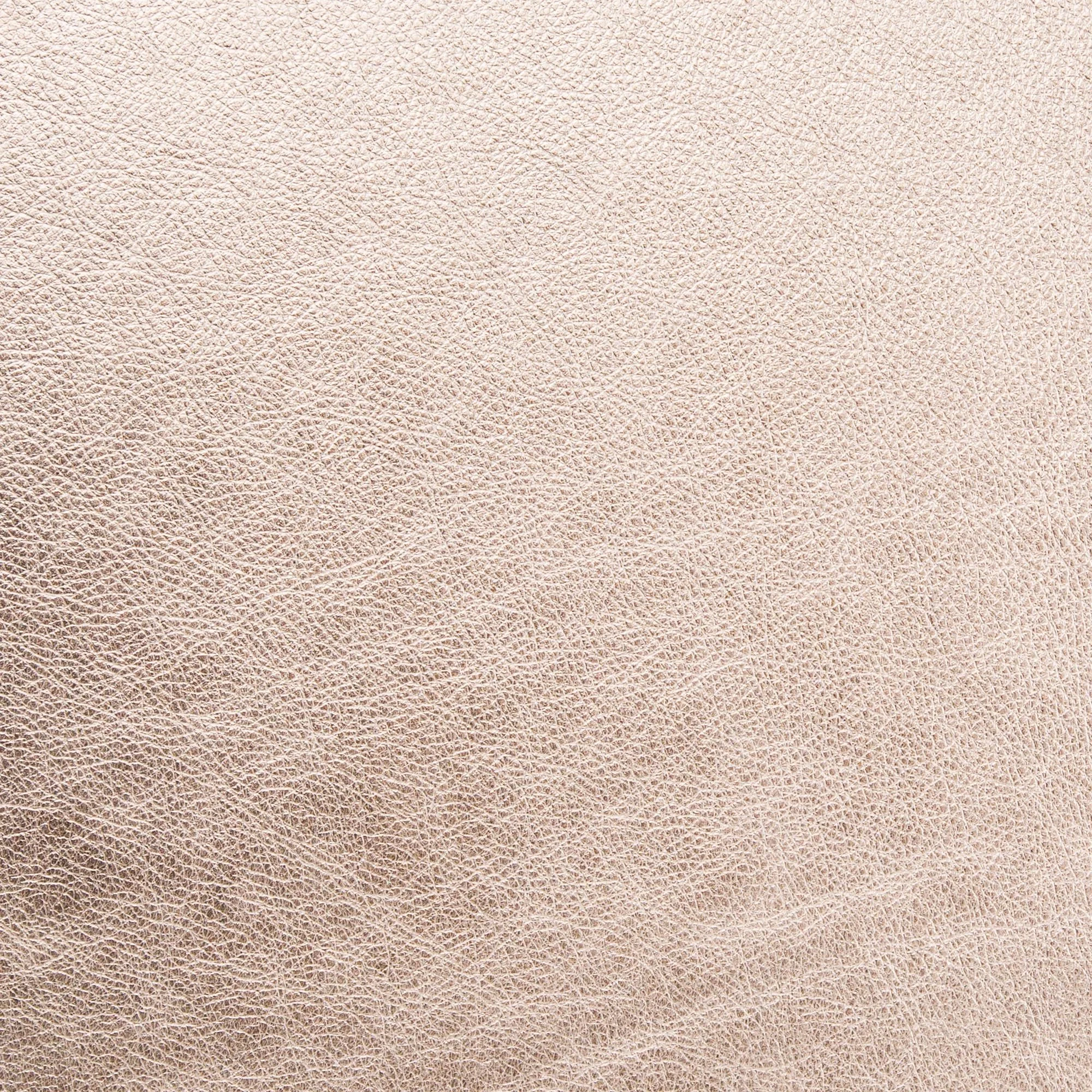 Metallic Leather - Champagne