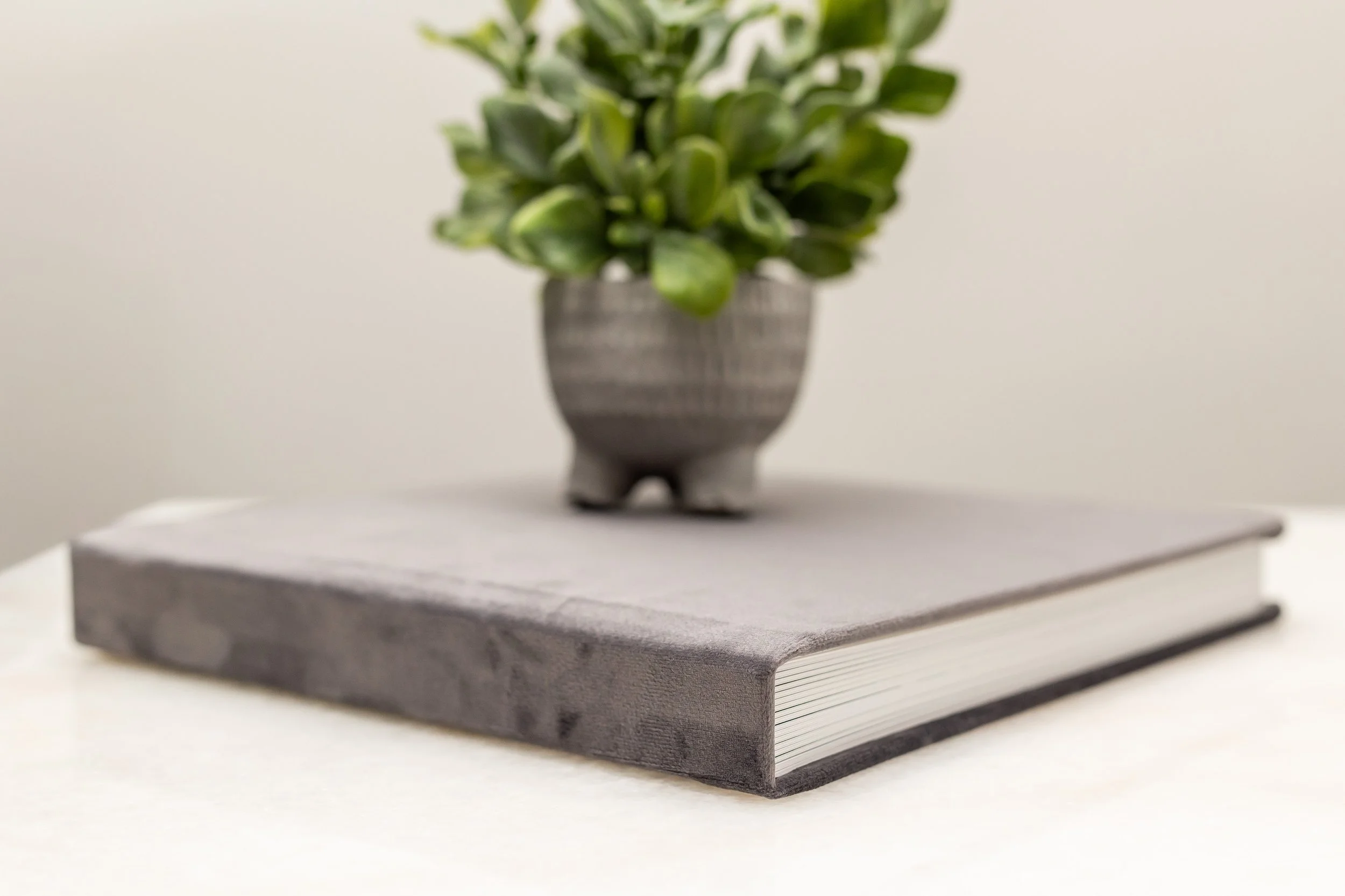 A close-up of a closed gray hardcover book with a potted green plant on top, on a white surface against a plain background.