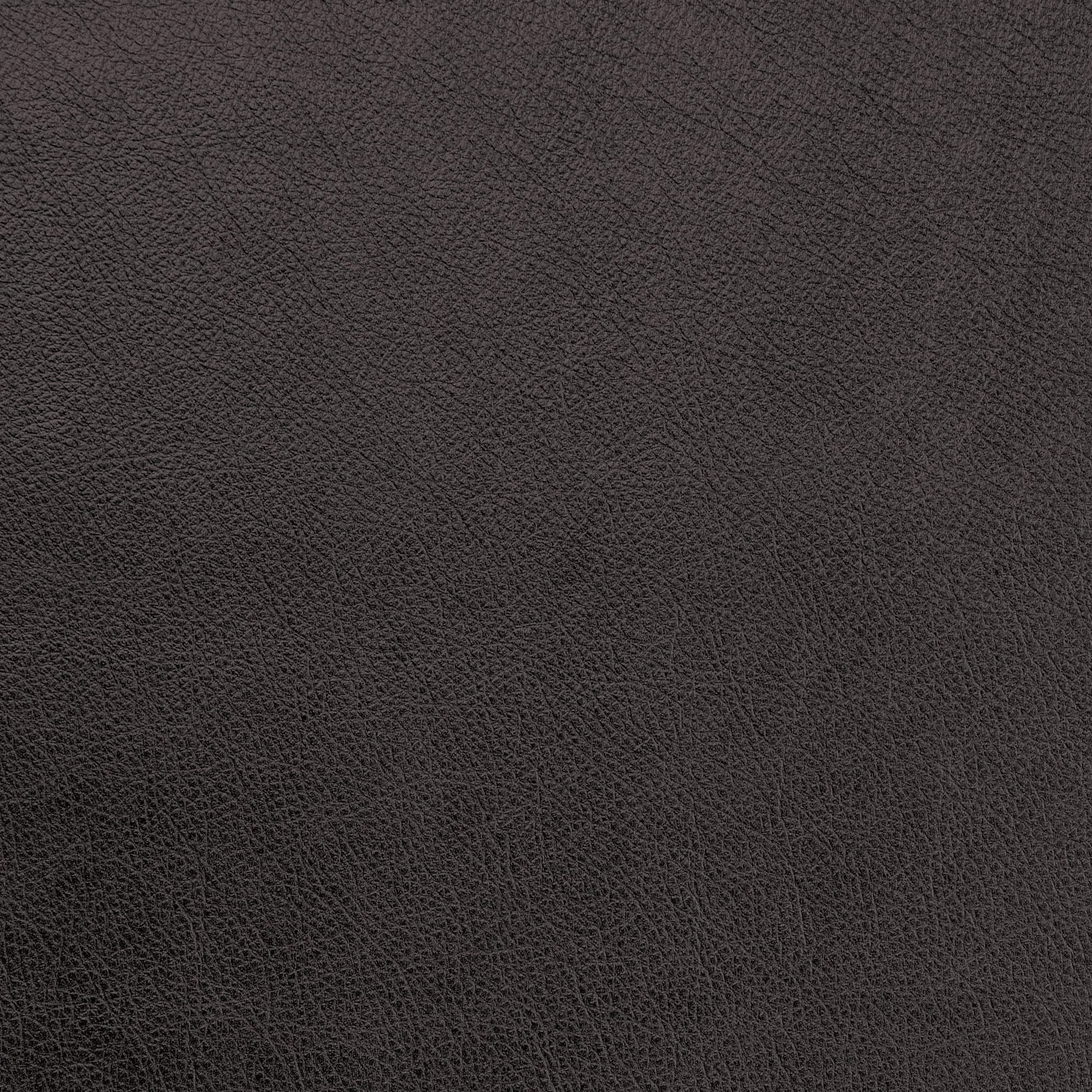 Metallic Leather - Raven