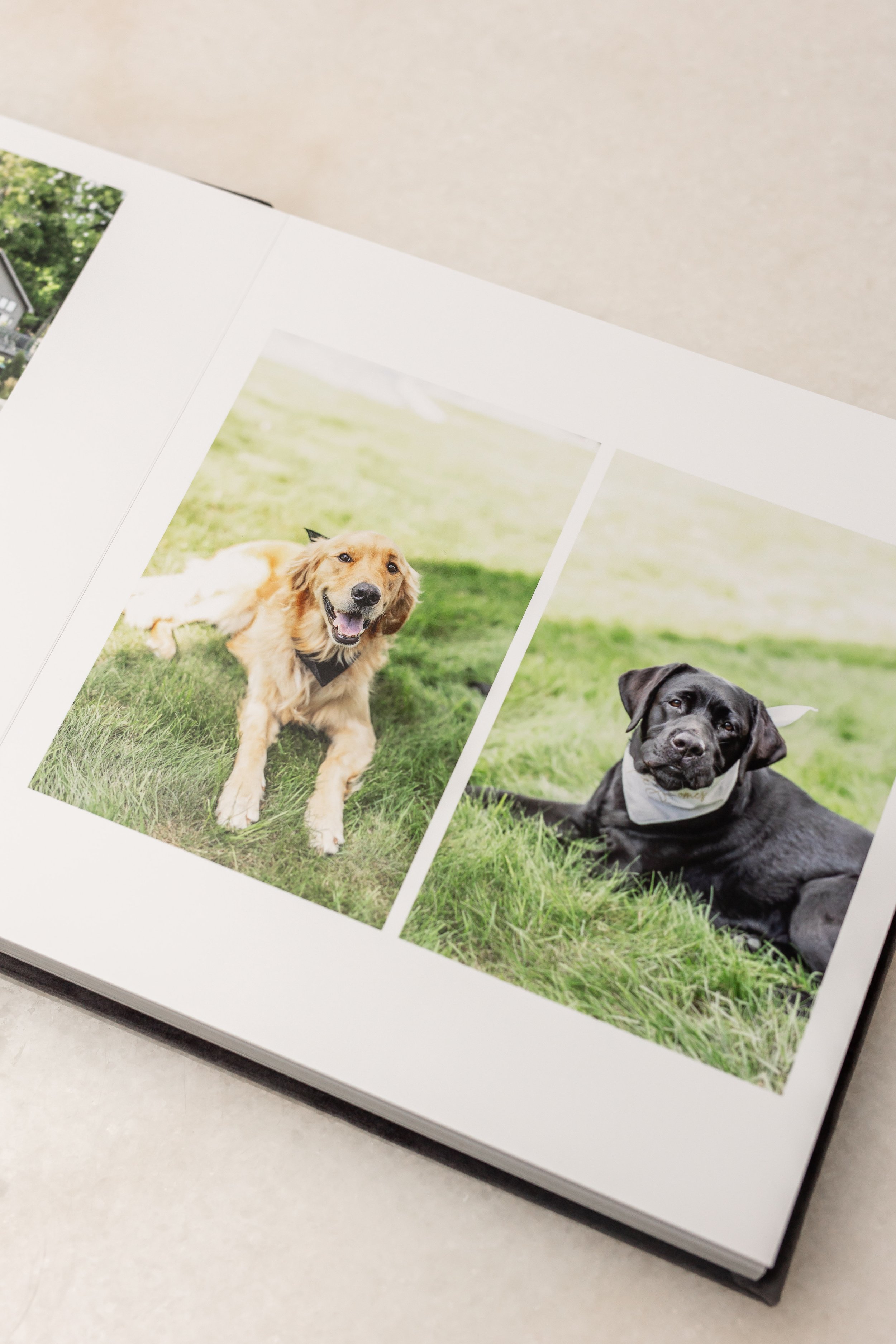 Photo album page displaying two pictures of dogs lying on grass, one golden retriever with a smile and black lab with a bandana, outdoors in a park or yard.