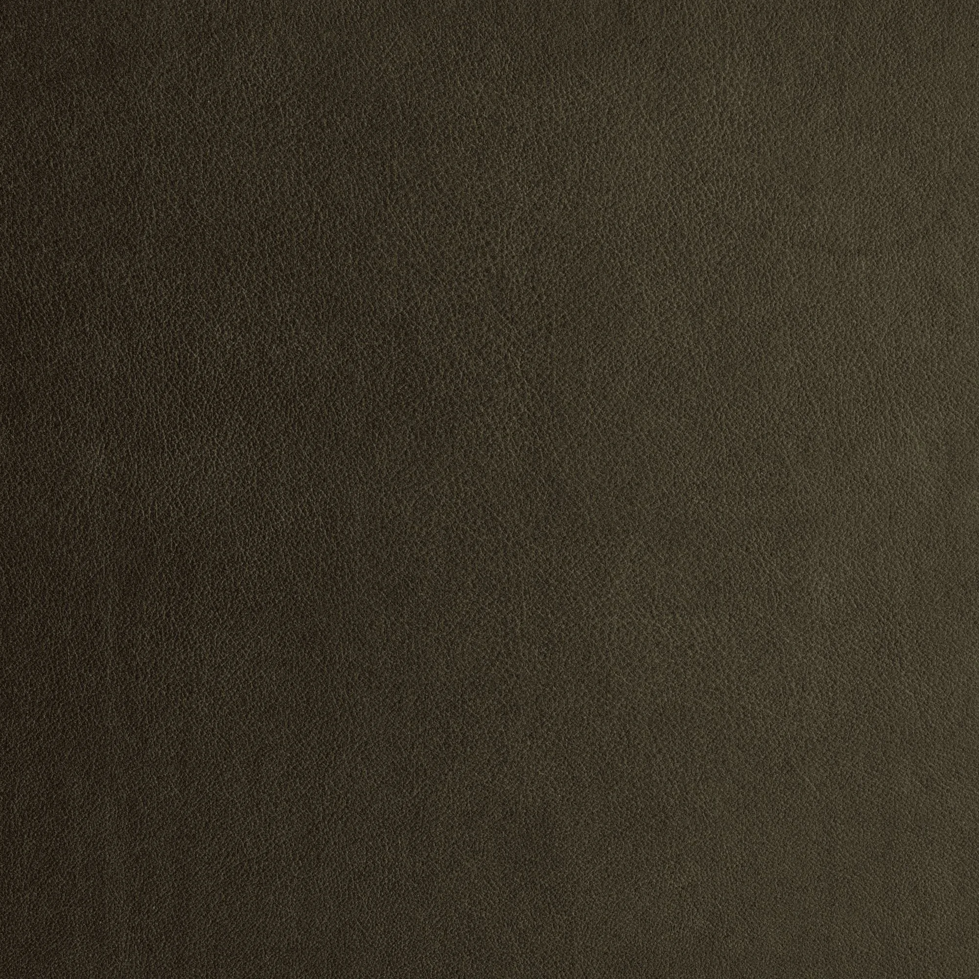 Standard Leather - Black Olive