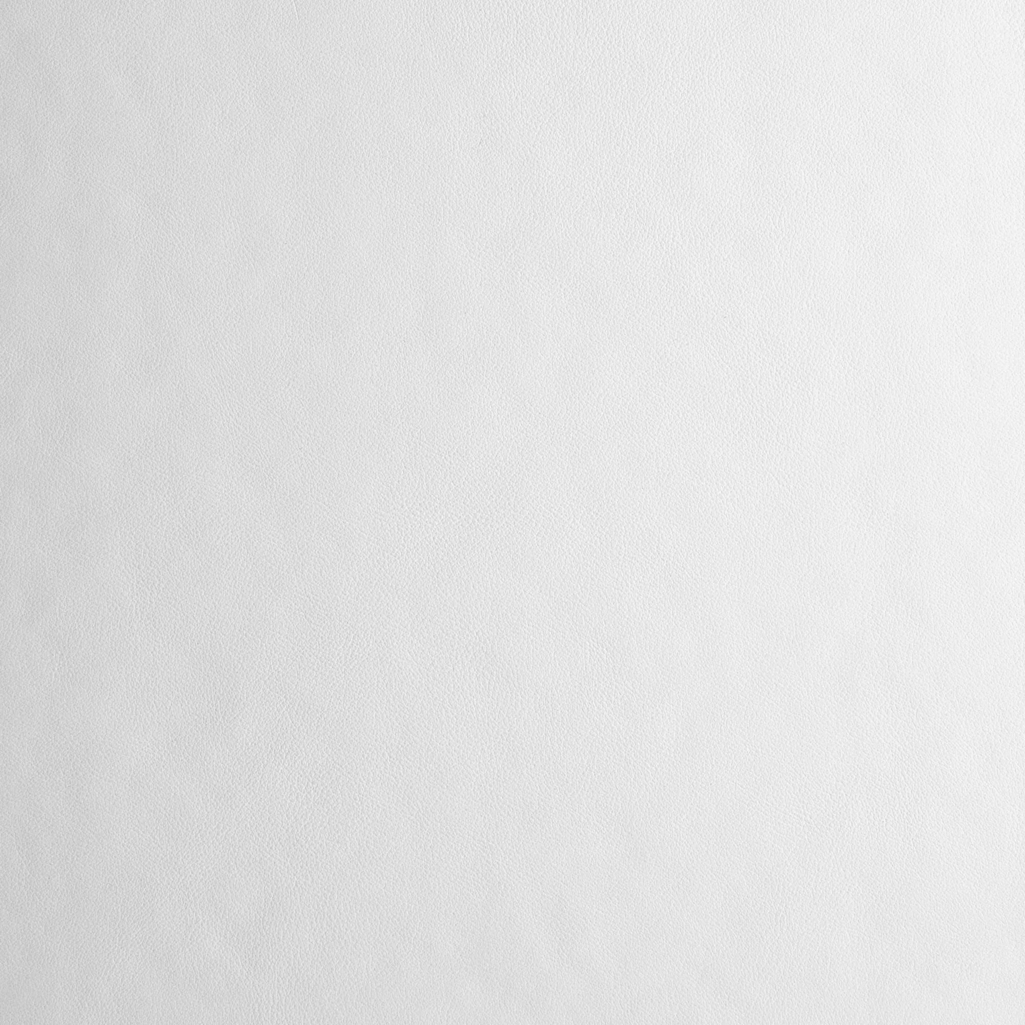 Standard Leather - Polar