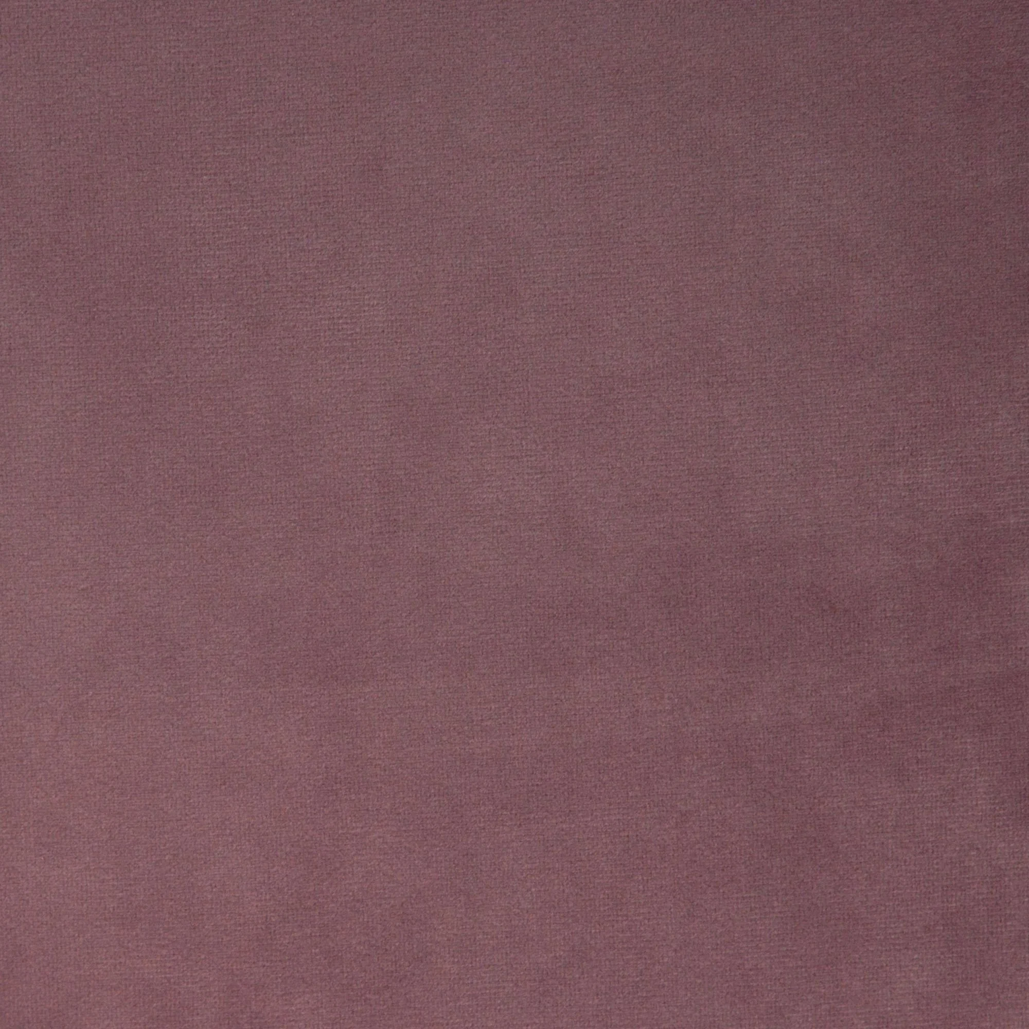 Velvet - Lilac