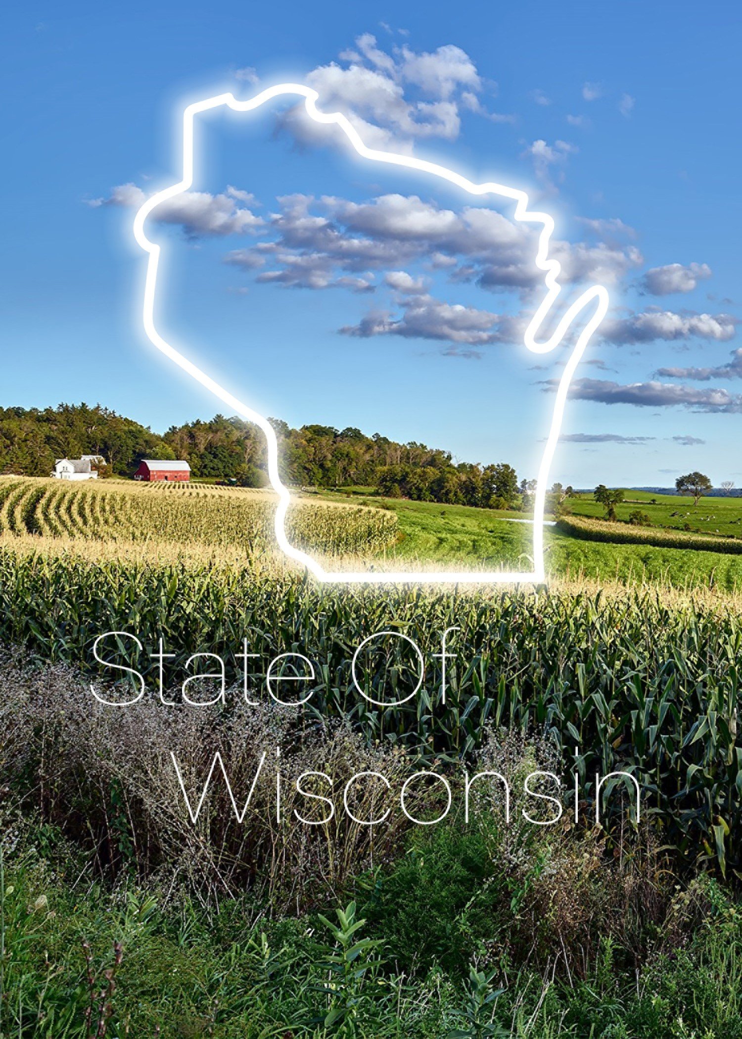 State of Wisconsin.jpeg