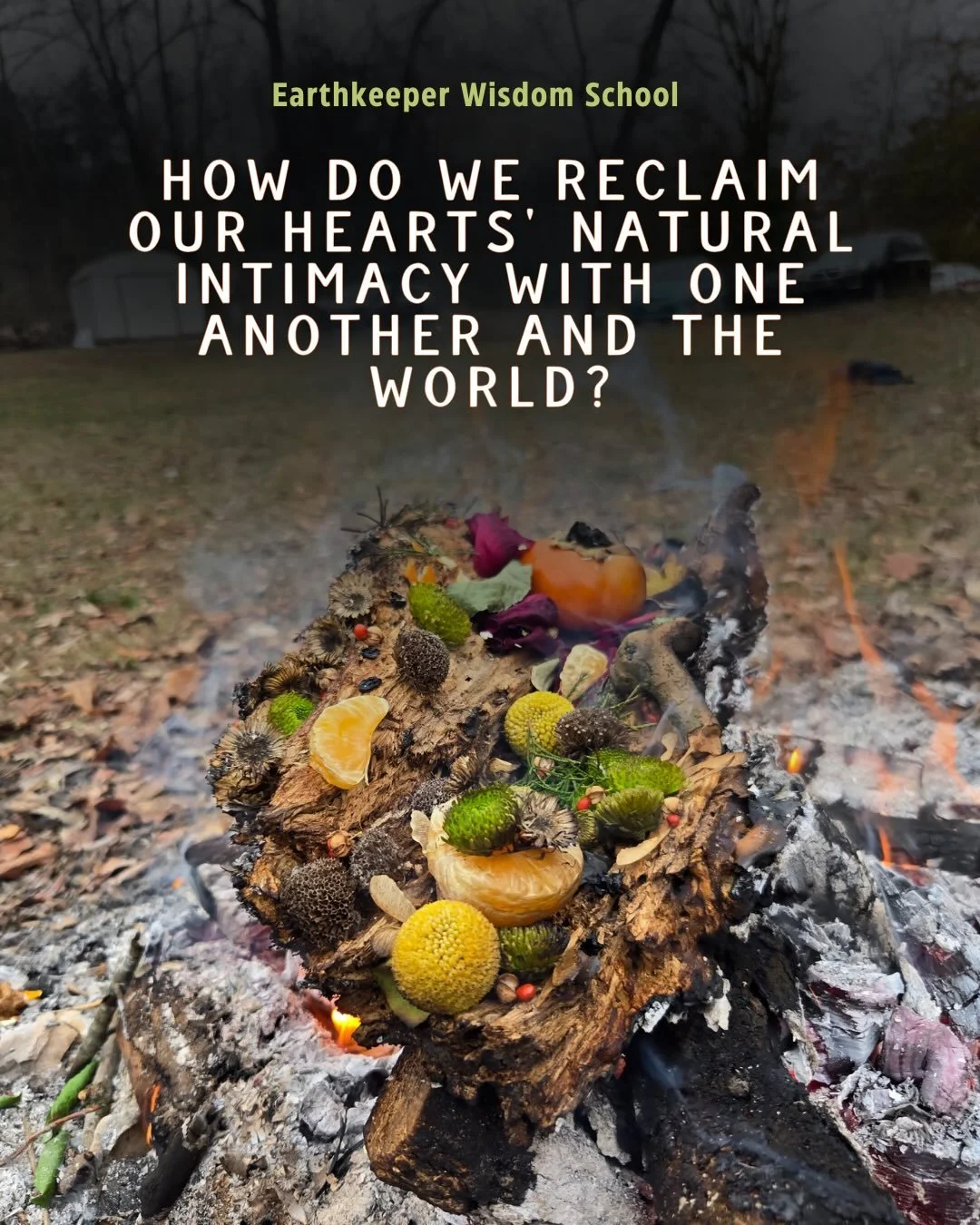 The Transformative Power of Grief Ritual ❤️&zwj;🔥

In early December, our current A Year in Ceremony cohort participated in a four-day grief ritual, which began with these words from Berry Lopez:

&ldquo;Evidence of the failure to love is everywhere