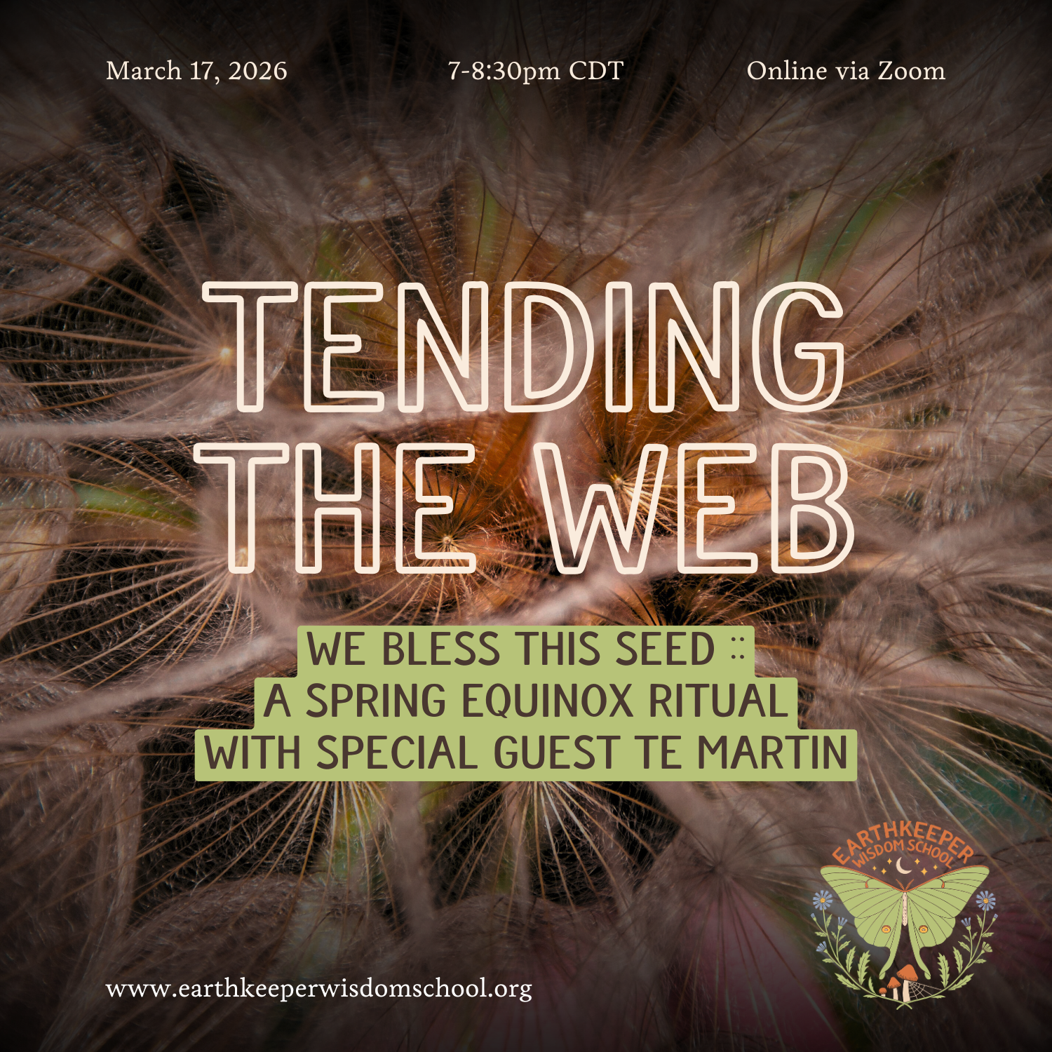 (March) Tending the Web: A Spring Equinox Ritual