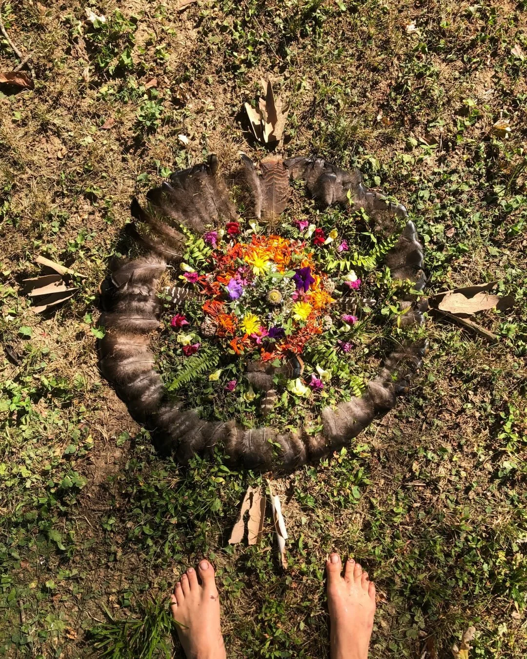 We invite you to imagine&hellip;

A deeply heart-connected community

Honoring Earth, Soul, Spirit and all the sacred beings there-within

Creating beauty through song, dance, and creativity

Breaking open to collective transformation through co-crea