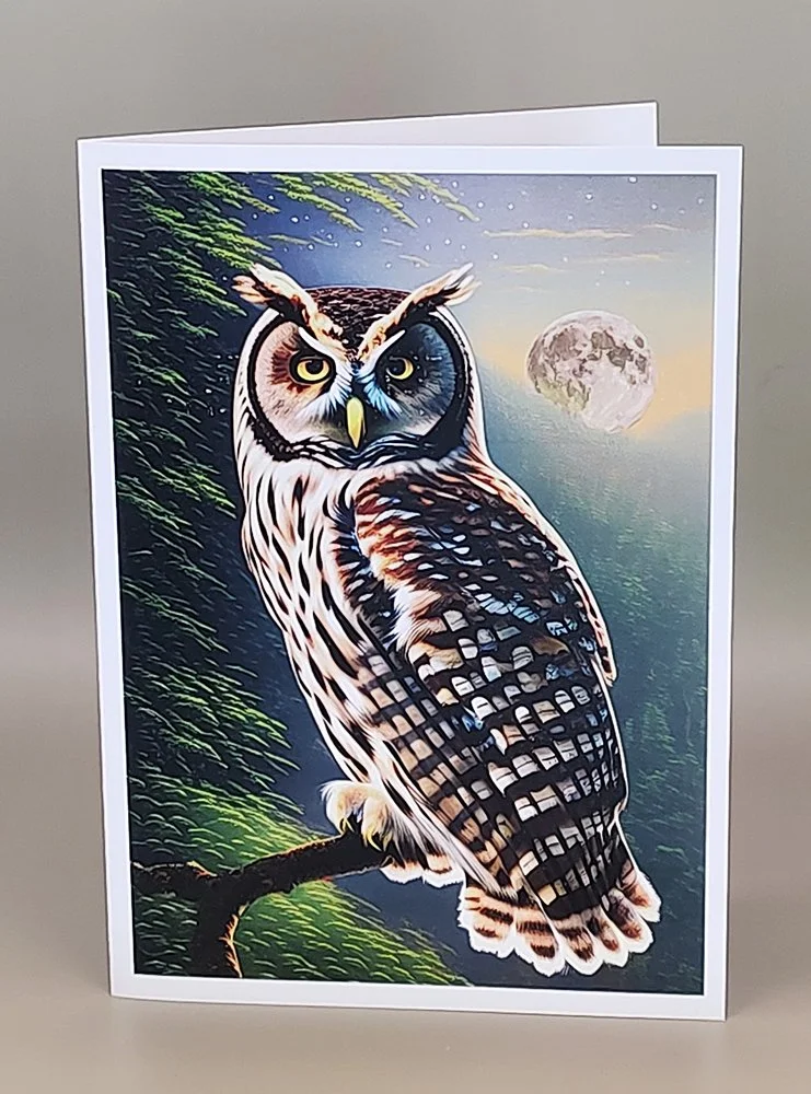 Night Owl Greeting Card Bird Watchers Barn Hoot Wise Owl
