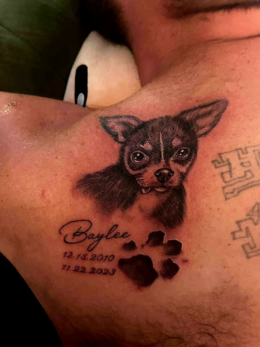 Tribute Dog.jpeg