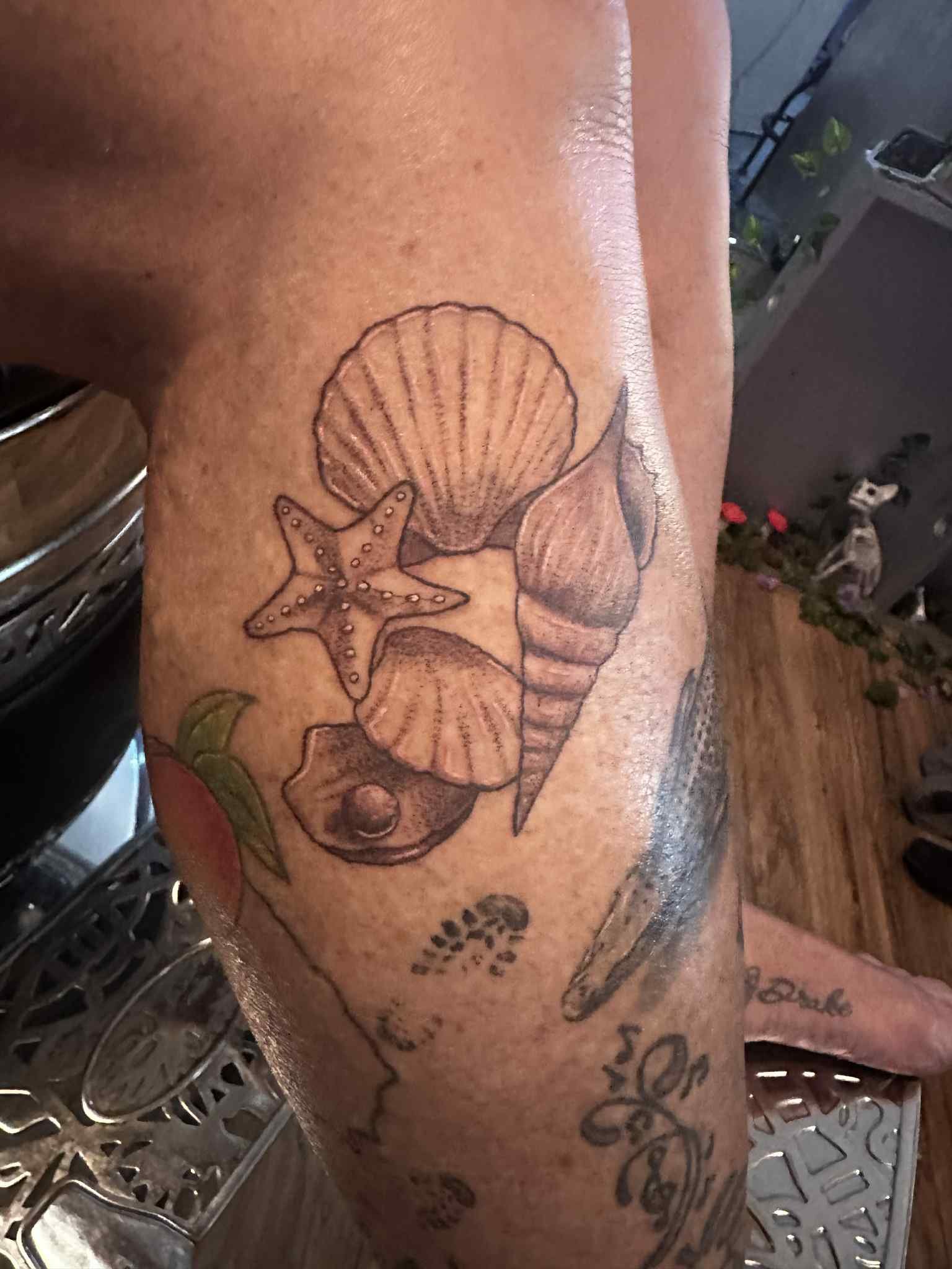 Seashells.jpeg