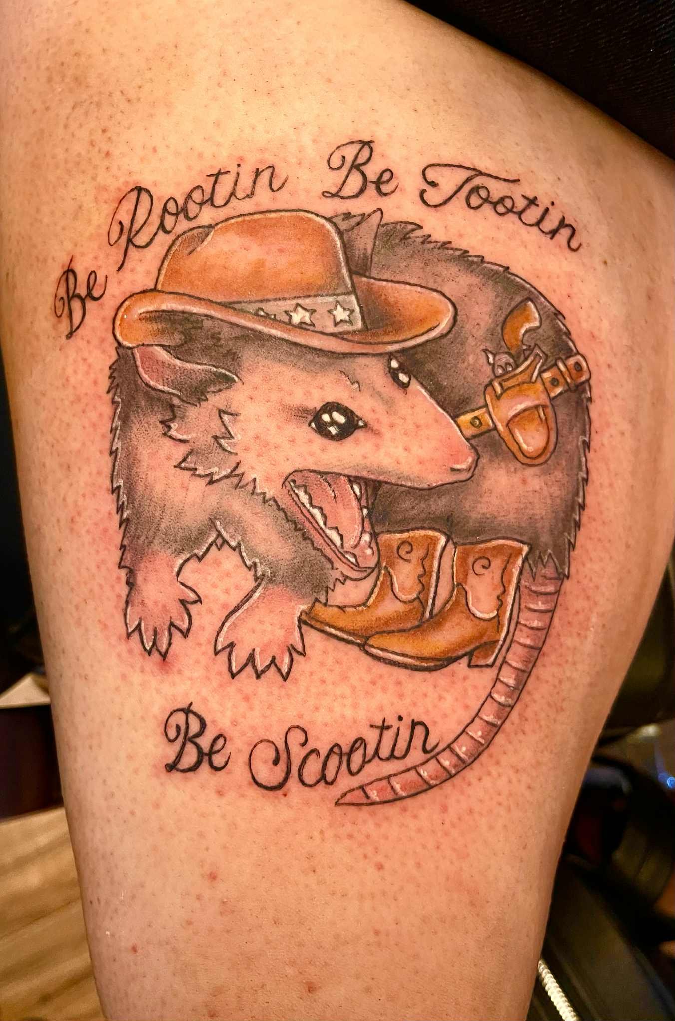 Possum.jpeg